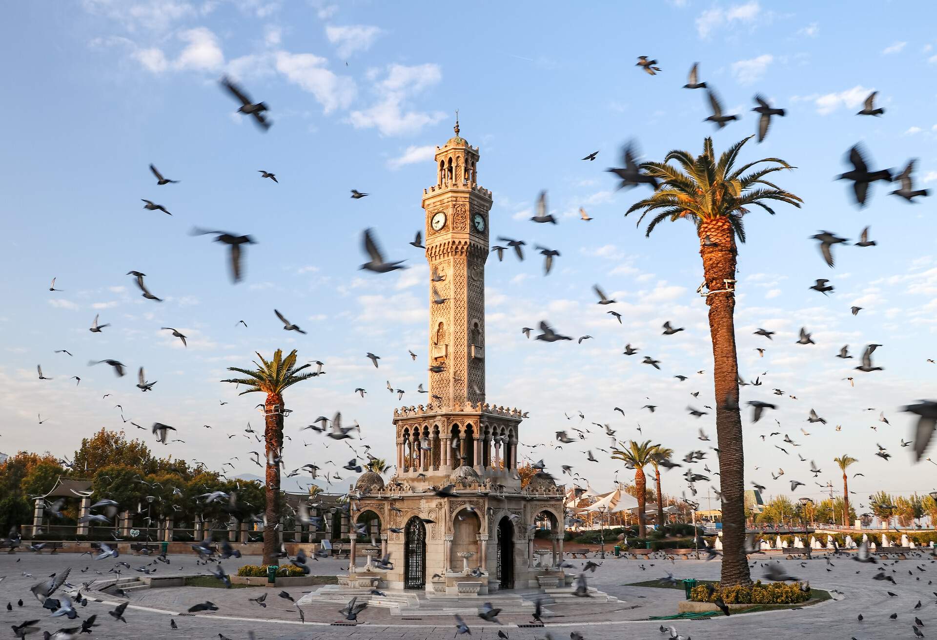 Birds flying around a monument in Izmir