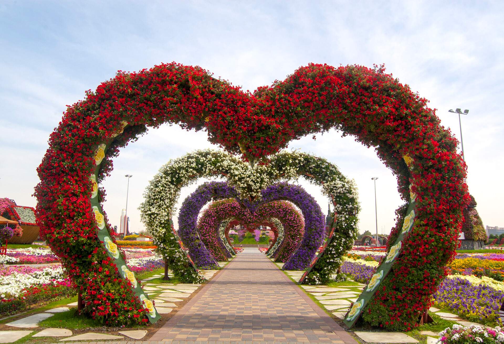 Miracle Garden, Dubai miracle garden is famous for heart shape installation. They collect flower all across world and make innovation out of the flower.