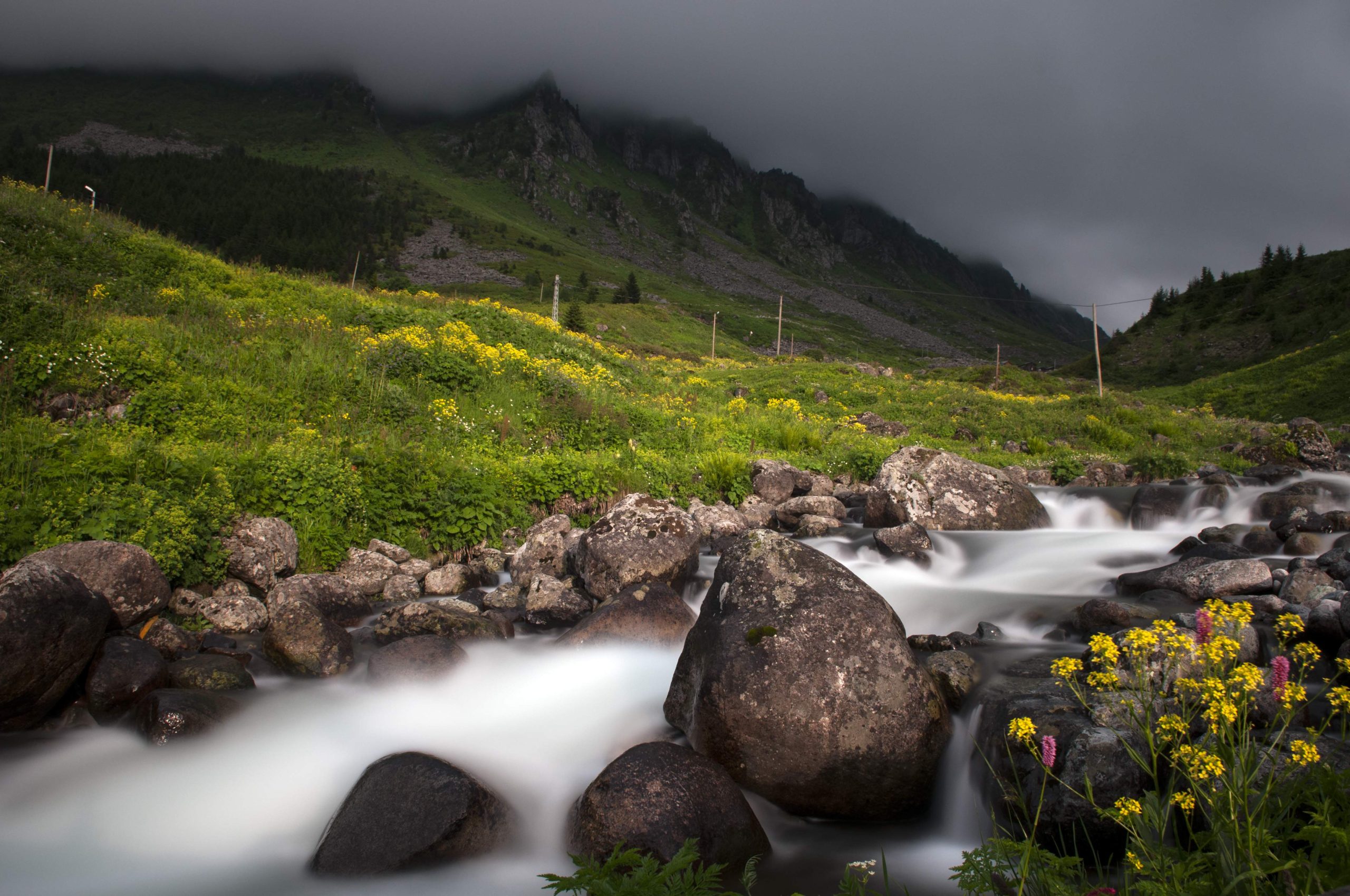 Grassy hills and mountains with wild flowers and a small stream