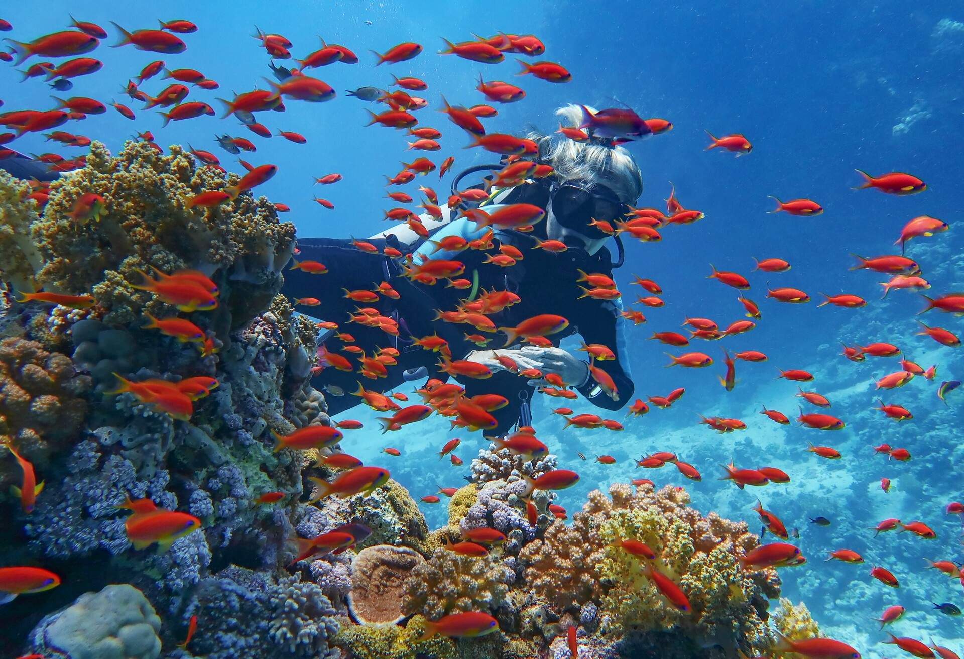 Woman scuba diver near beautiful coral reef  - surrounded with shoal of beautiful red coral fish, anthias