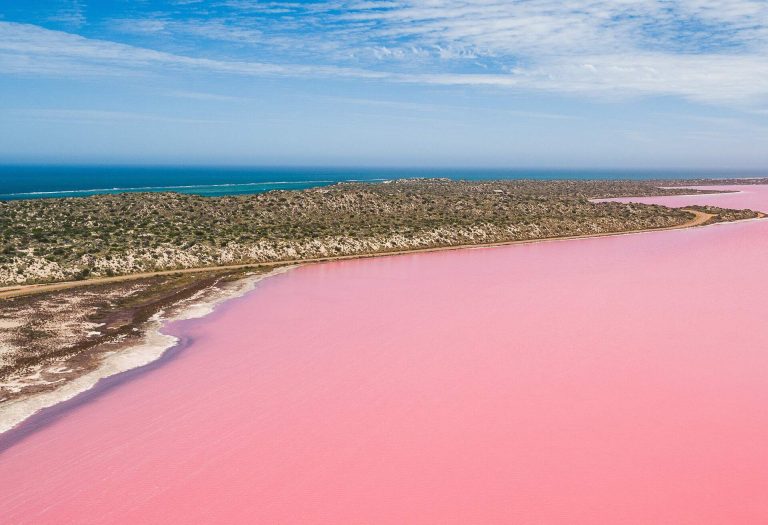 7 Pink Lakes in Australia that everyone must visit once KAYAK
