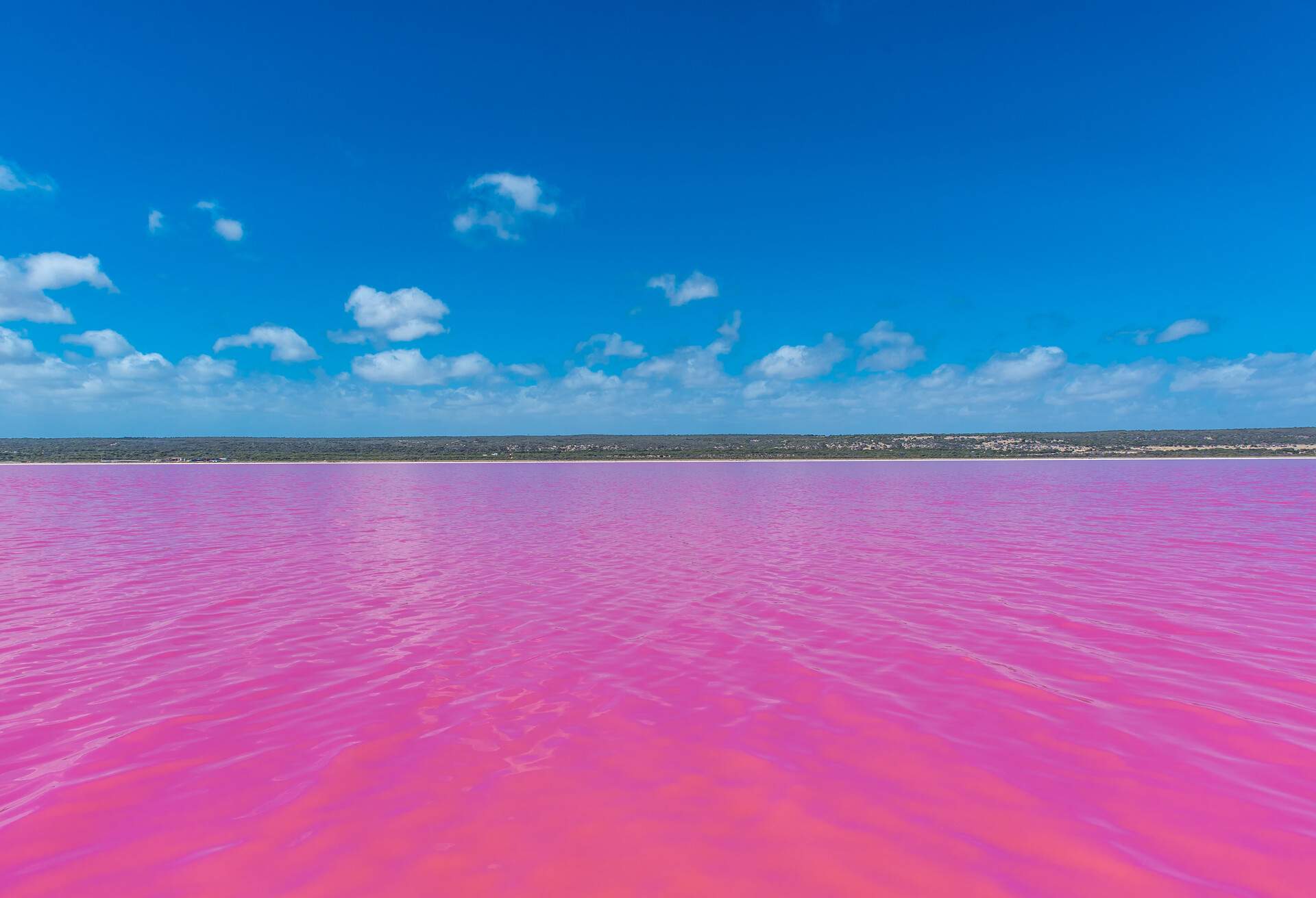 Pink Lake Australia Plan To Restore WA s Pink Lake To Its Former