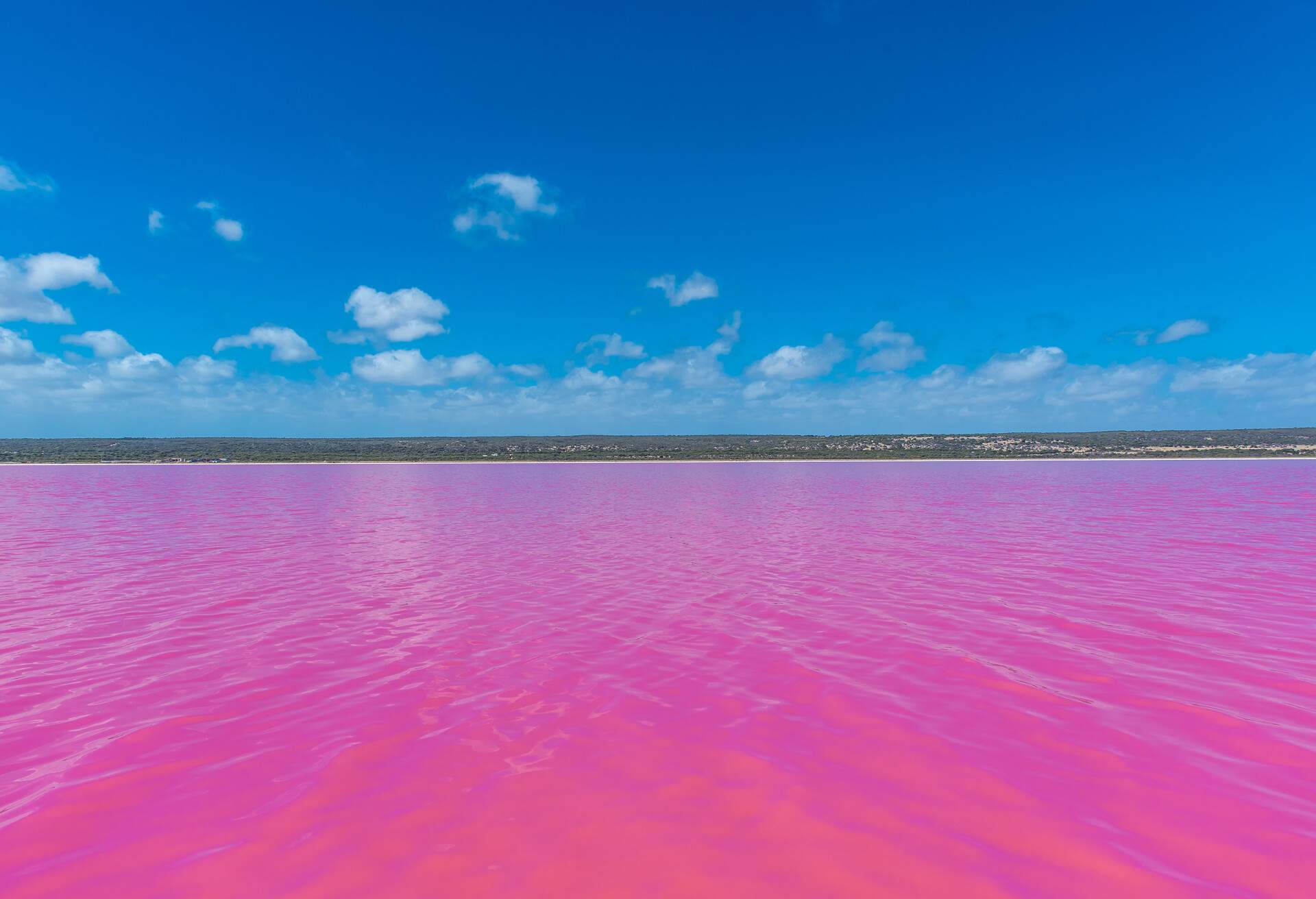 DEST_AUSTRALIA_HUTT_LAGOON_PINK_LAKE_GettyImages