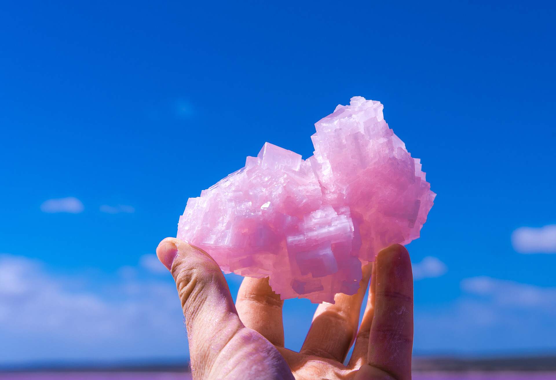 Close up of a hand holding pink natural salt crystals over blue sky. Tourist standing at the shore of scenic Pink Lake Hutt Lagoon at Port Gregory, Western Australia, WA