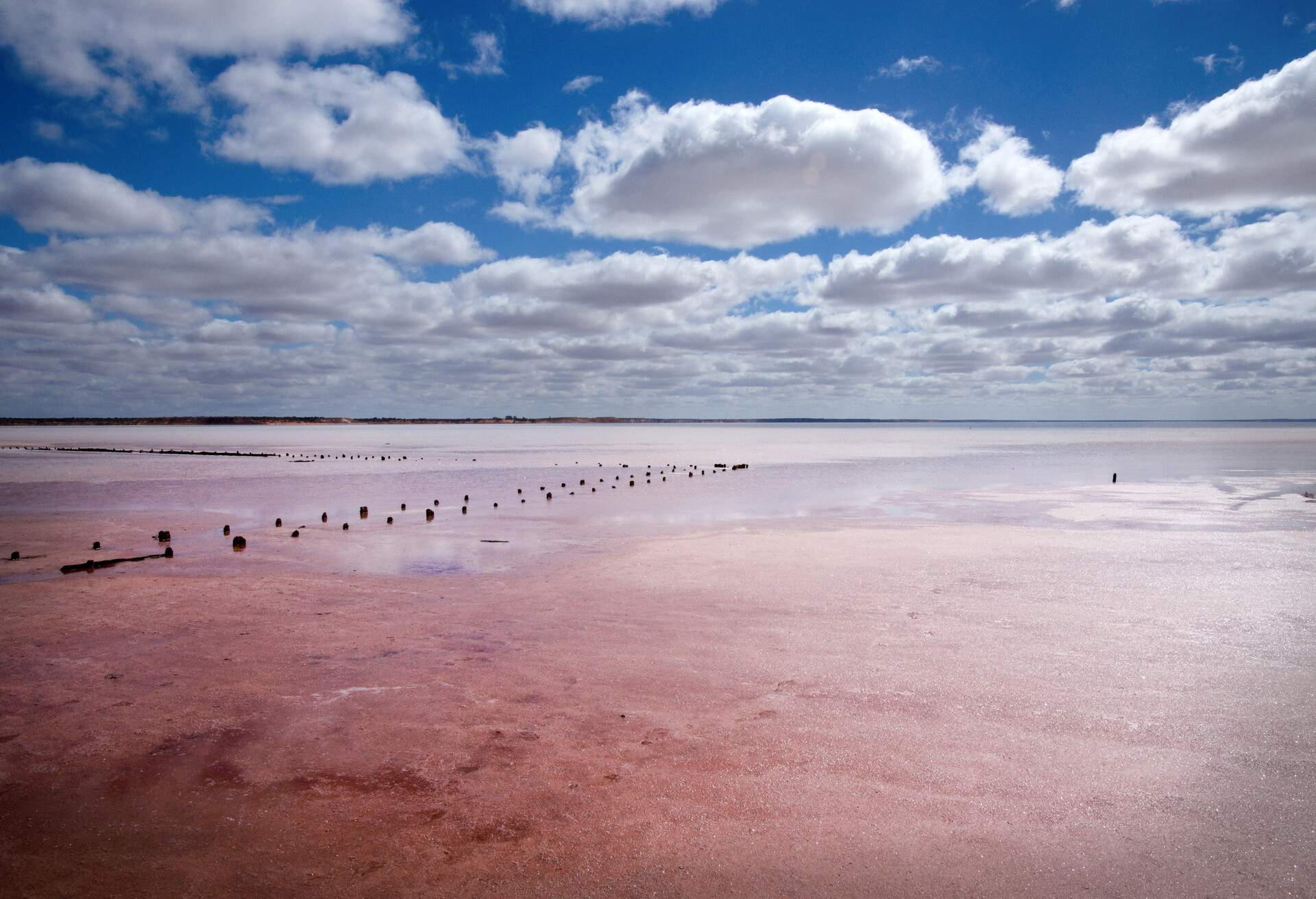 Lake Hart, a salt lake in Outback South Australia popular with adventure travellers and outback tourists.