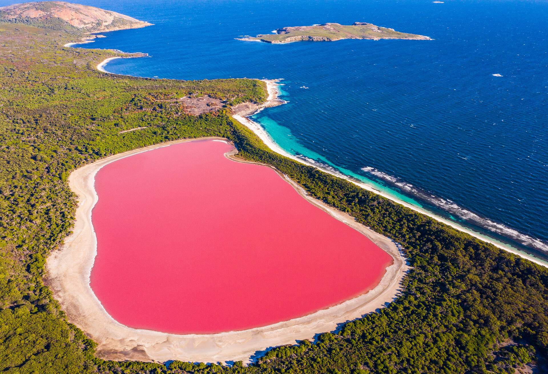 Pink lake aerial view on middle island surrounded blue ocean. Stark contrasting natural phenomenon in Western Australia.