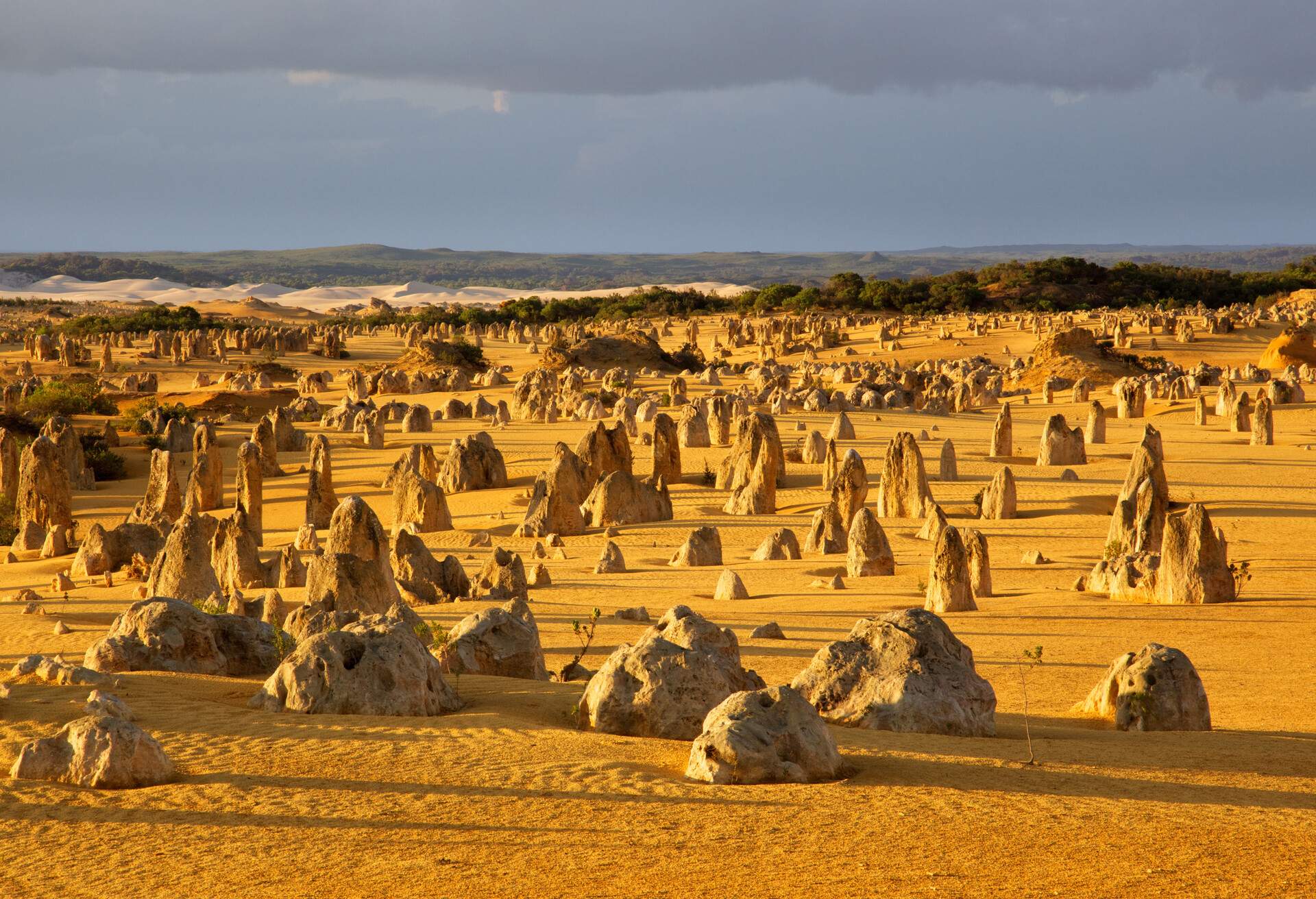 An overview of part of the Pinnacles Desert in the heart of the Nambung National Park, Western Australia.; Shutterstock ID 90433462; purchase_order: ; job: ; client: ; other: