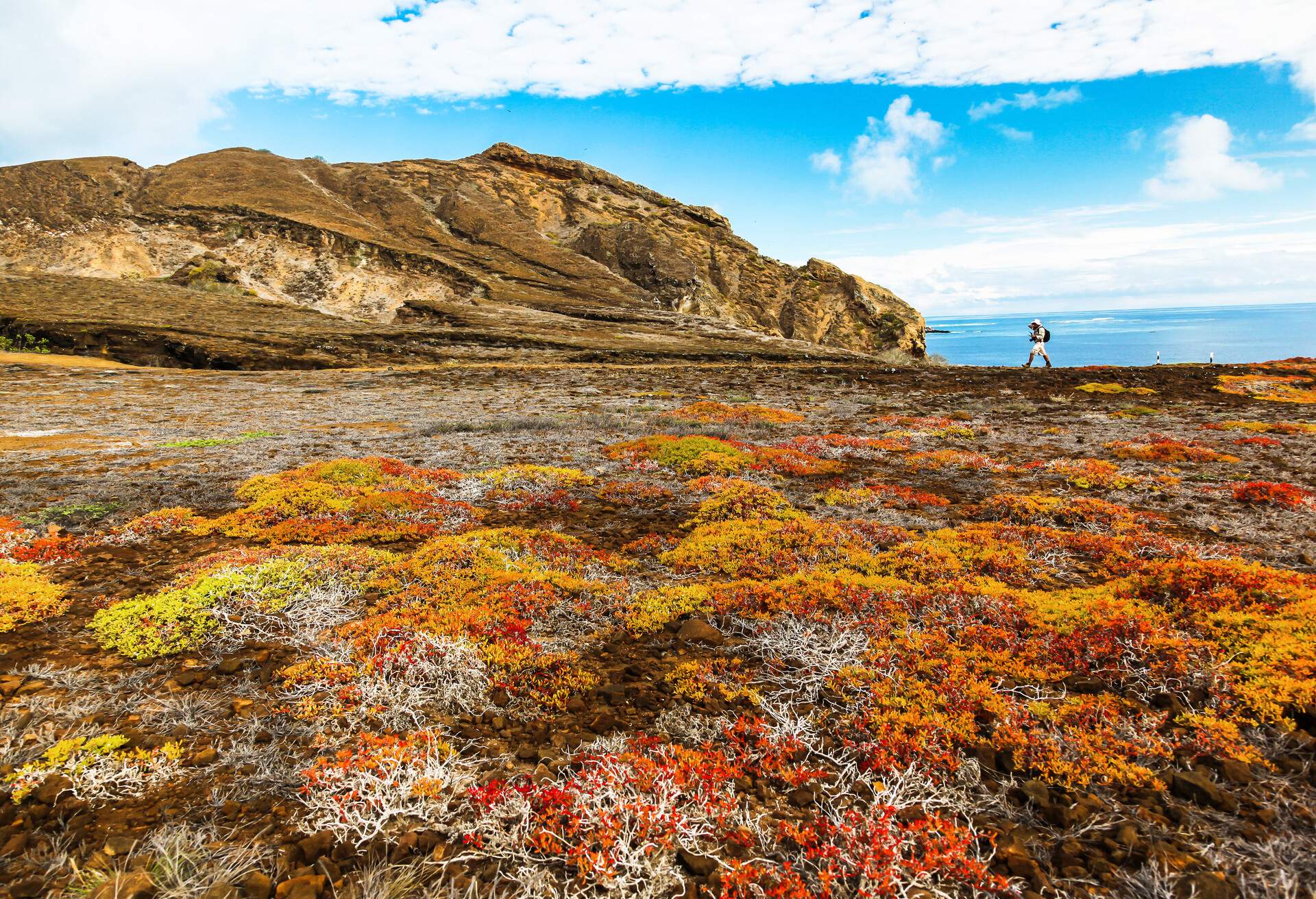 DEST_ECUADOR_GALAPAGOS-ISLANDS_SAN-CRISTOBAL_PUNTA-PITT_shutterstock-premier_1021930267