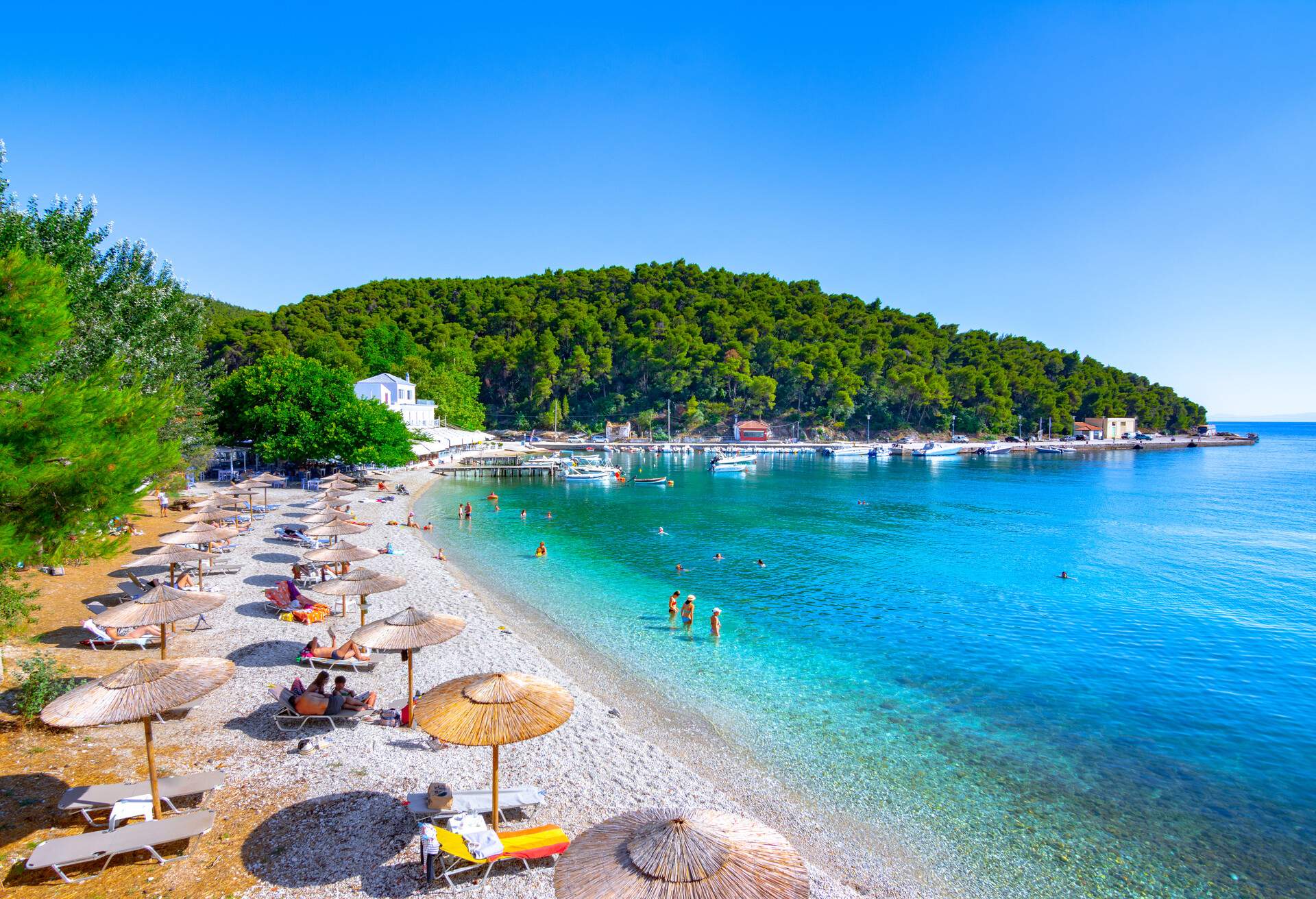 Amazing beach of Agnontas, Skopelos, Greece.