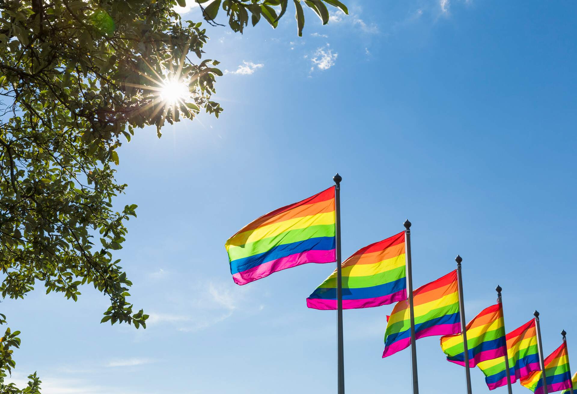 DEST_ICELAND_REYKJAVIK_THEME_GAY-PRIDE_GettyImages-530020439.jpg