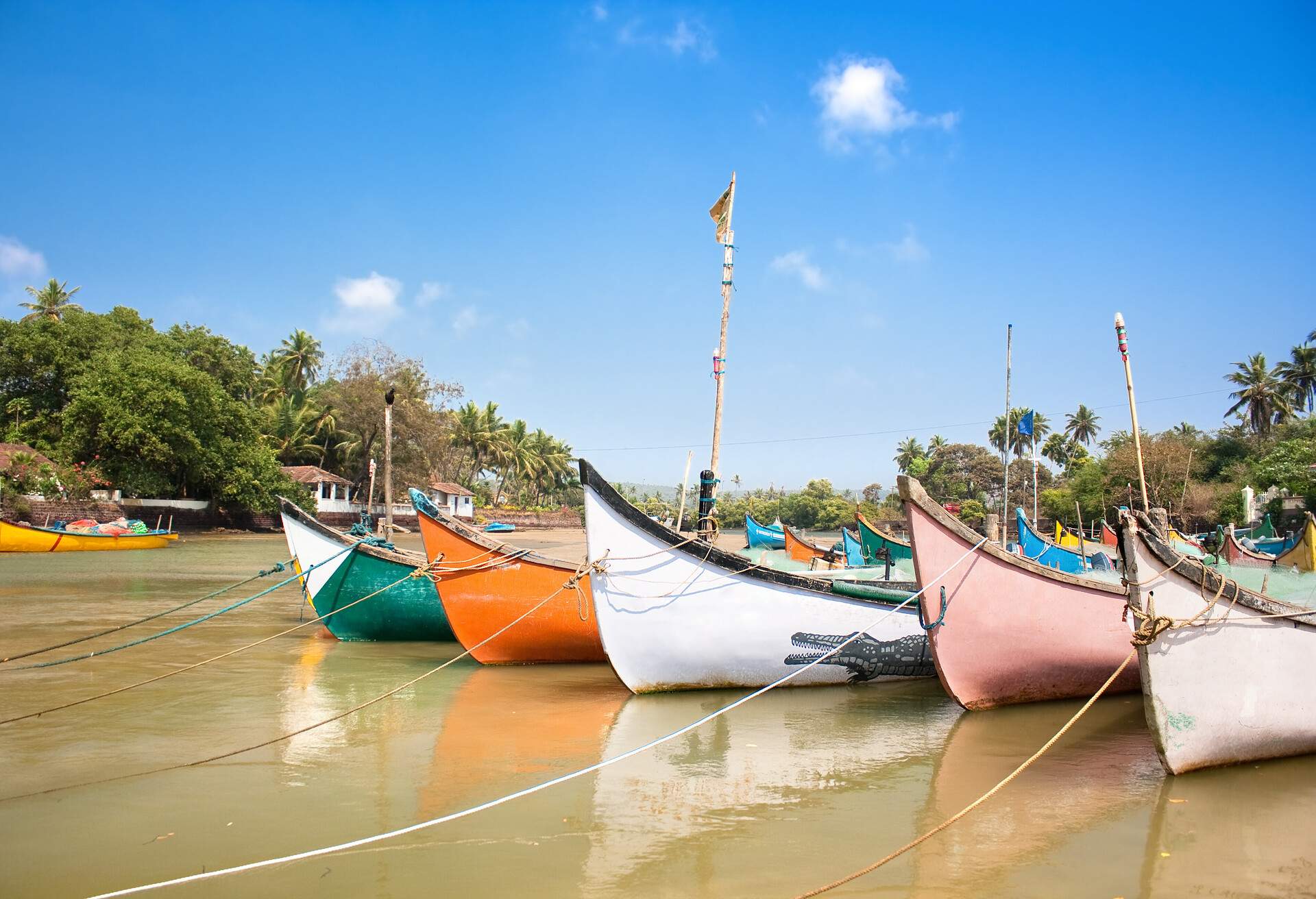 Colourful wooden fishing boats tied on a calm brown river. 