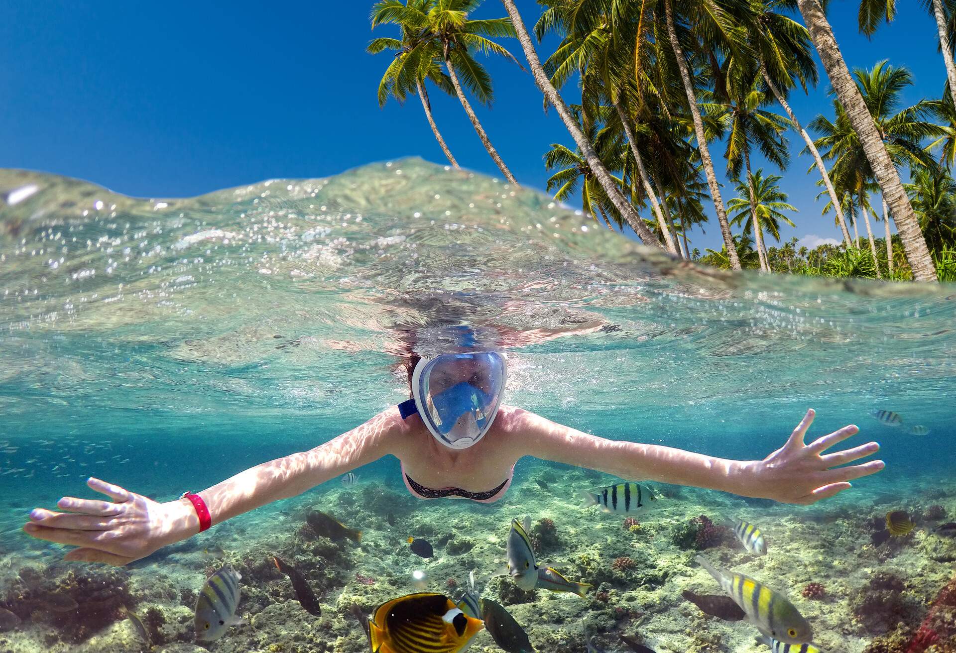 A young boy wearing a full-face diving mask swimming in the sea with towering palm trees looming the water.