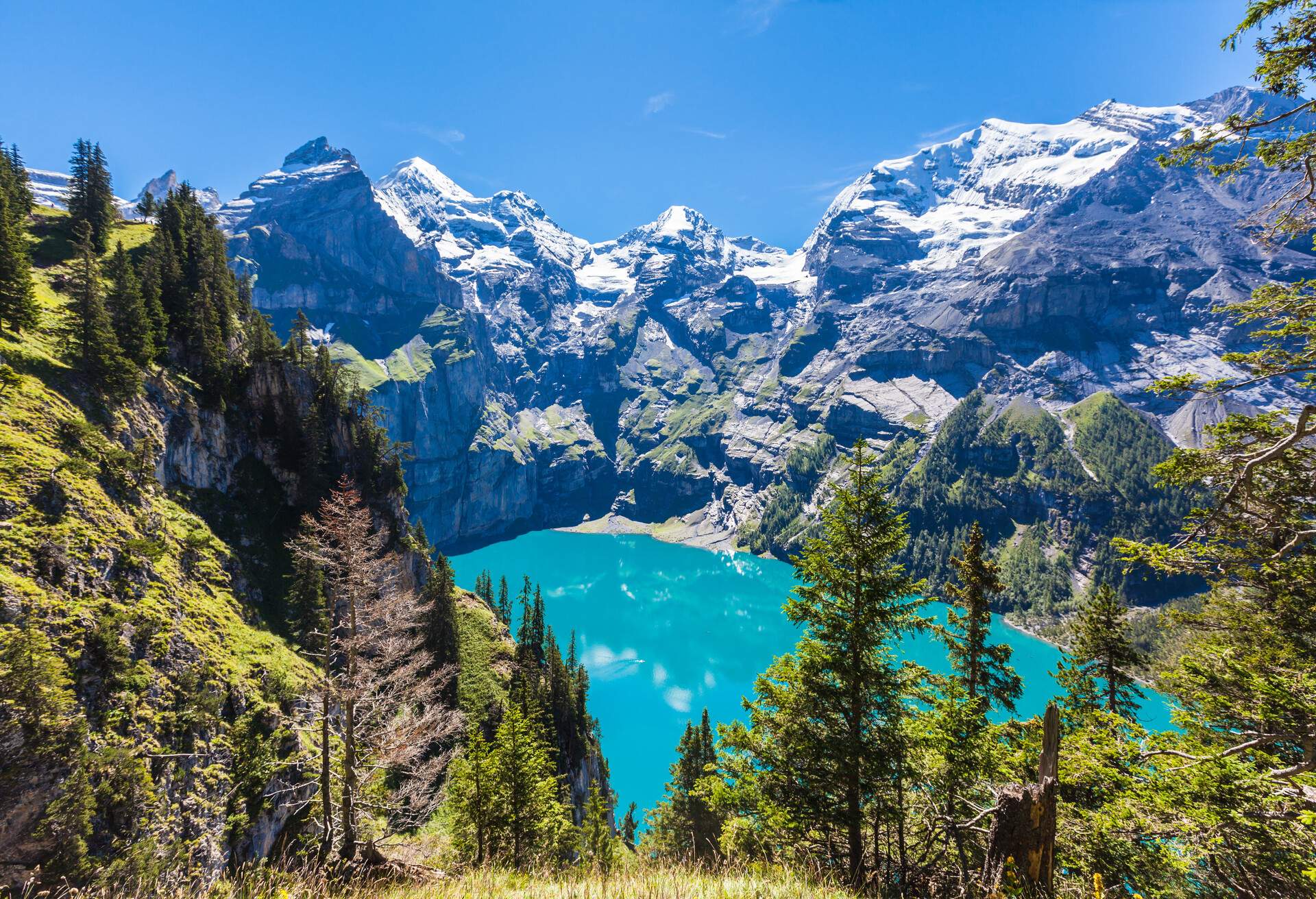 The panorama in summer view over the Oeschinensee (Oeschinen lake) and the alps on the other side near Kandersteg on bernese oberland in Switzerland.