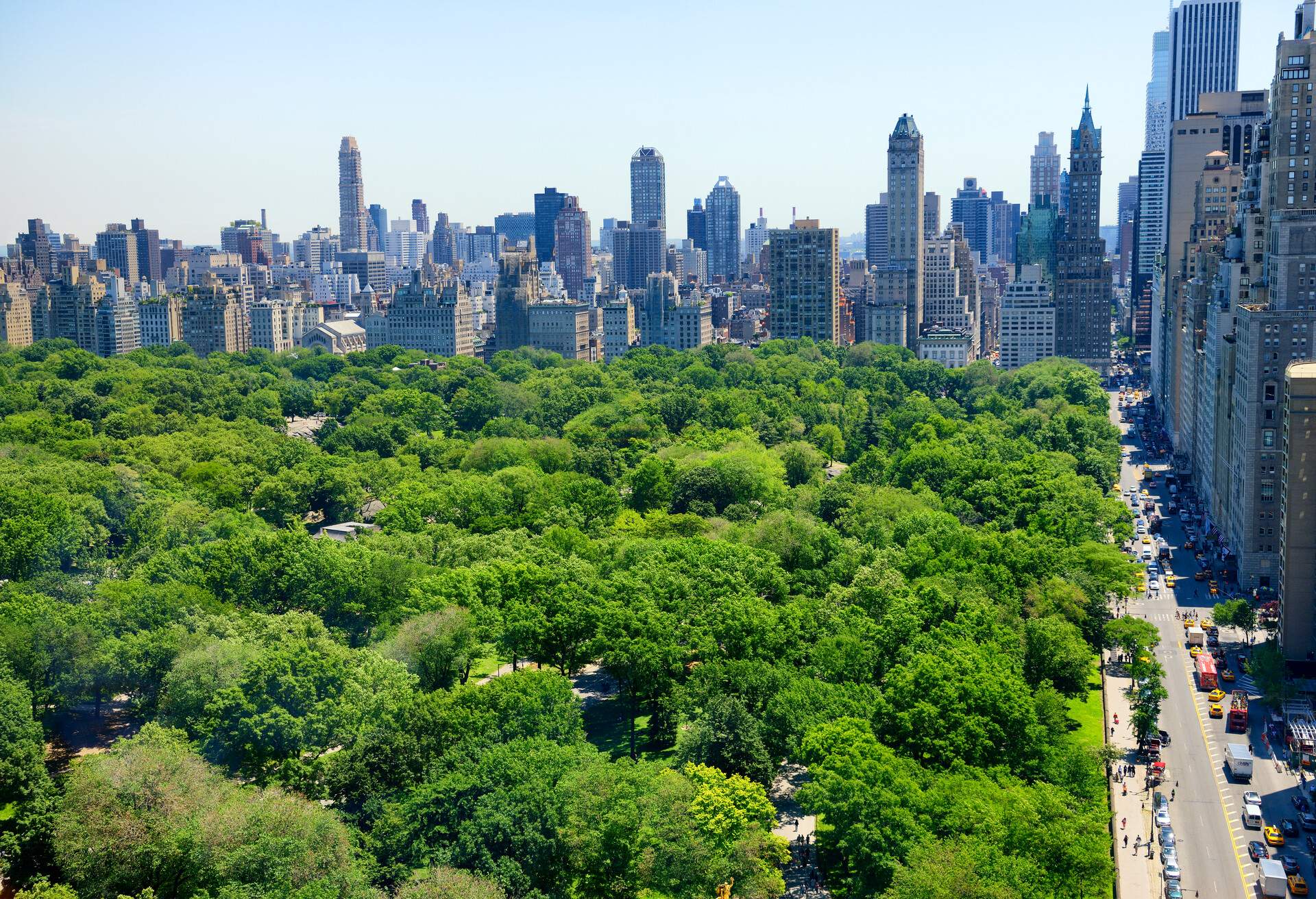 Skyline and Central Park, NYC, USA.