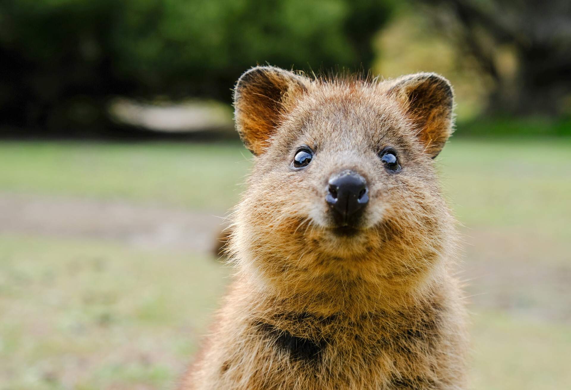 Photo taken in Rottnest Island, Australia