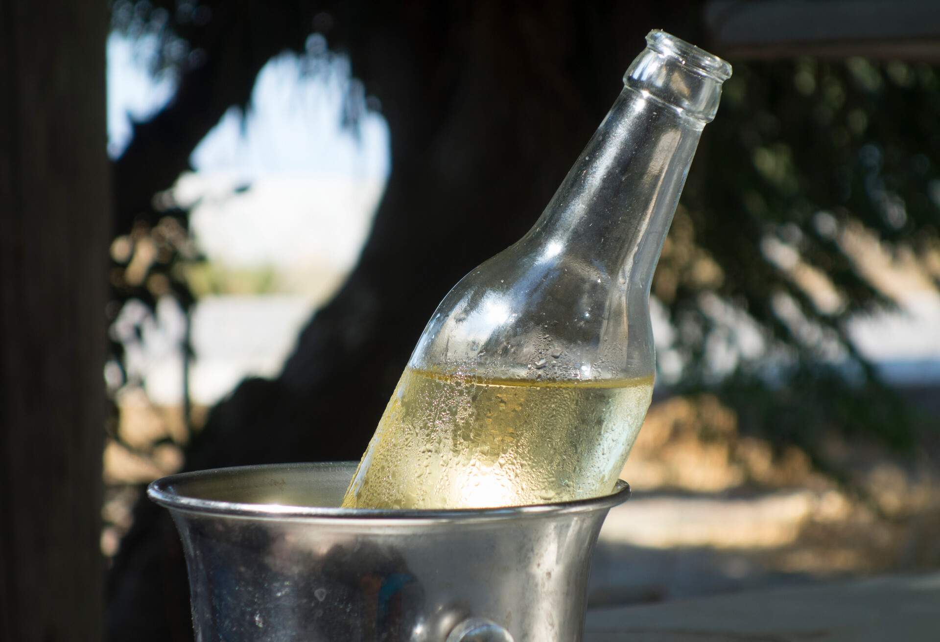 Bottle Of White Wine At The Beach