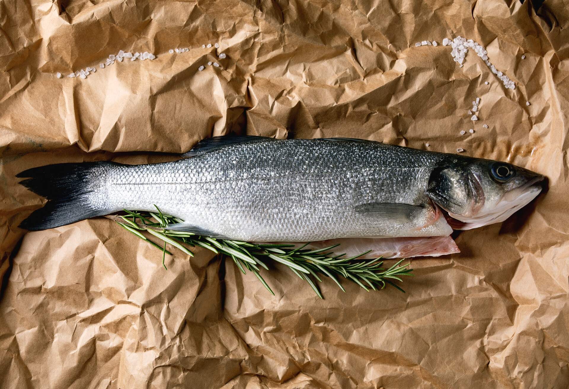 Raw fresh uncooked fish sea bass on crumples paper ready to cook with rosemary and sea salt. Flat lay, space