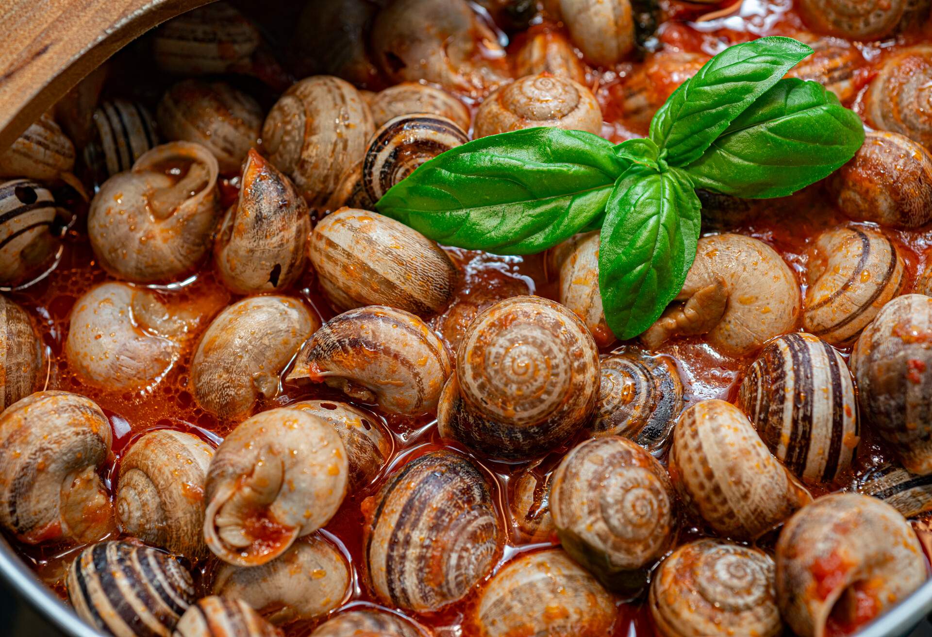 THEME_FOOD_ITALIAN_SARDINIAN_LUMACHE-AL-SUGO_SNAILS_GettyImages-1266957172