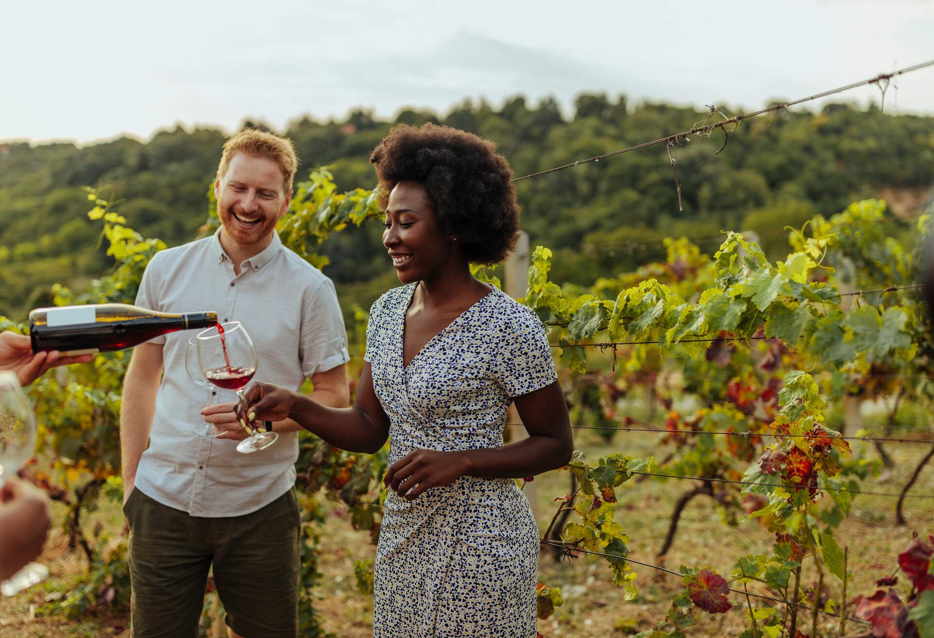 Young people enjoying wine in vineyard. Unrecognizable man pouring glass with red wine to black woman