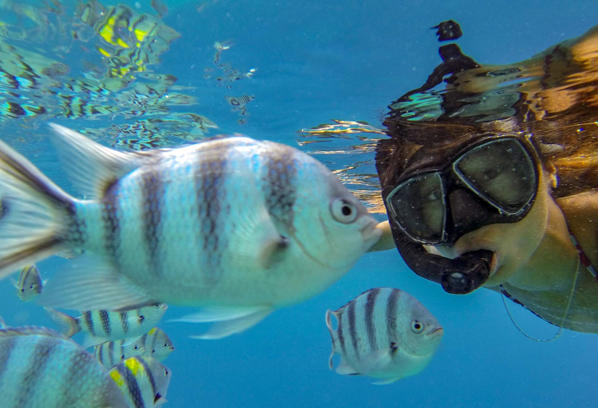 THEME_PEOPLE_WOMAN_SNORKELING_FISH_GettyImages