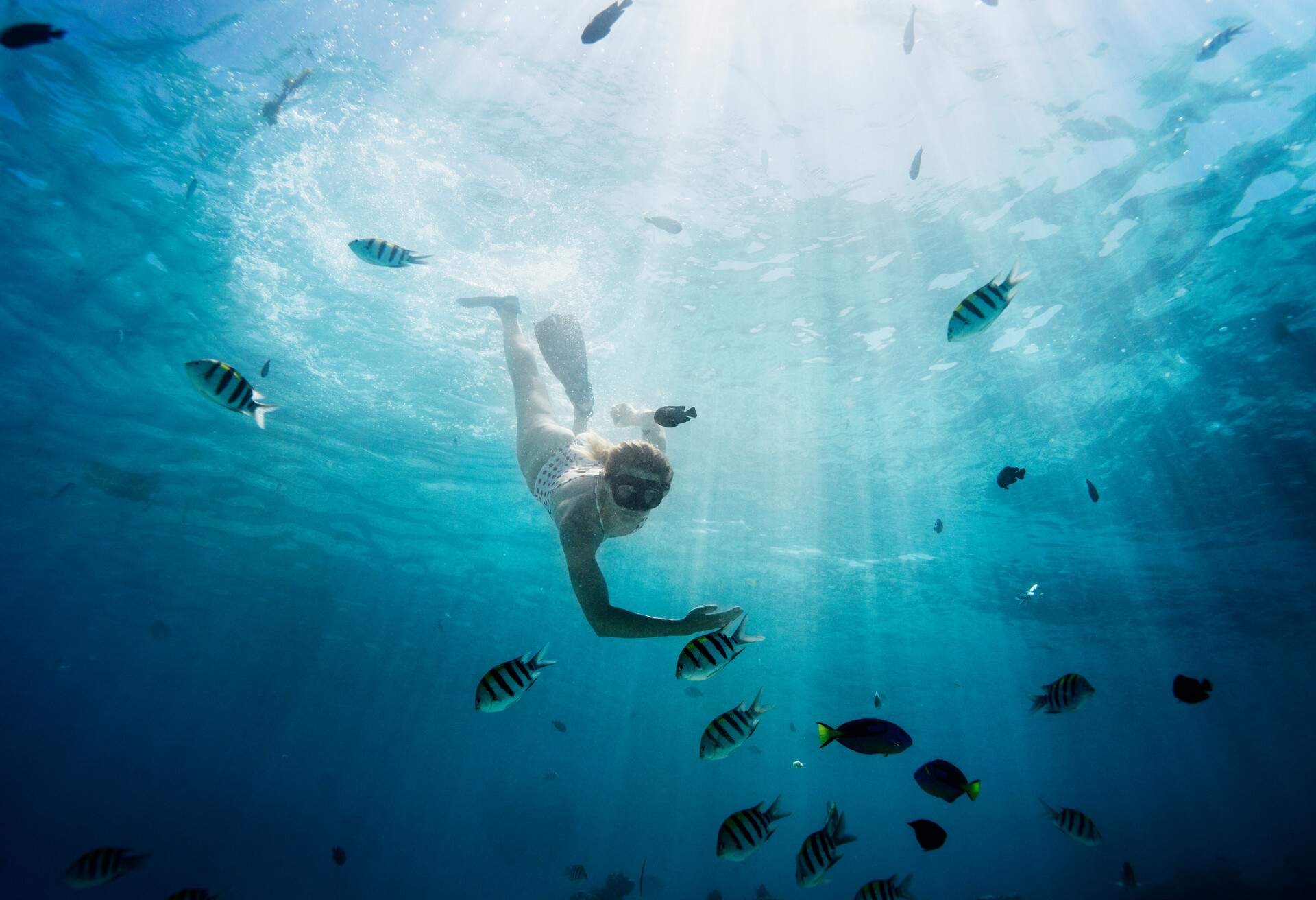 Woman snorkling in the ocean, tropical sea,