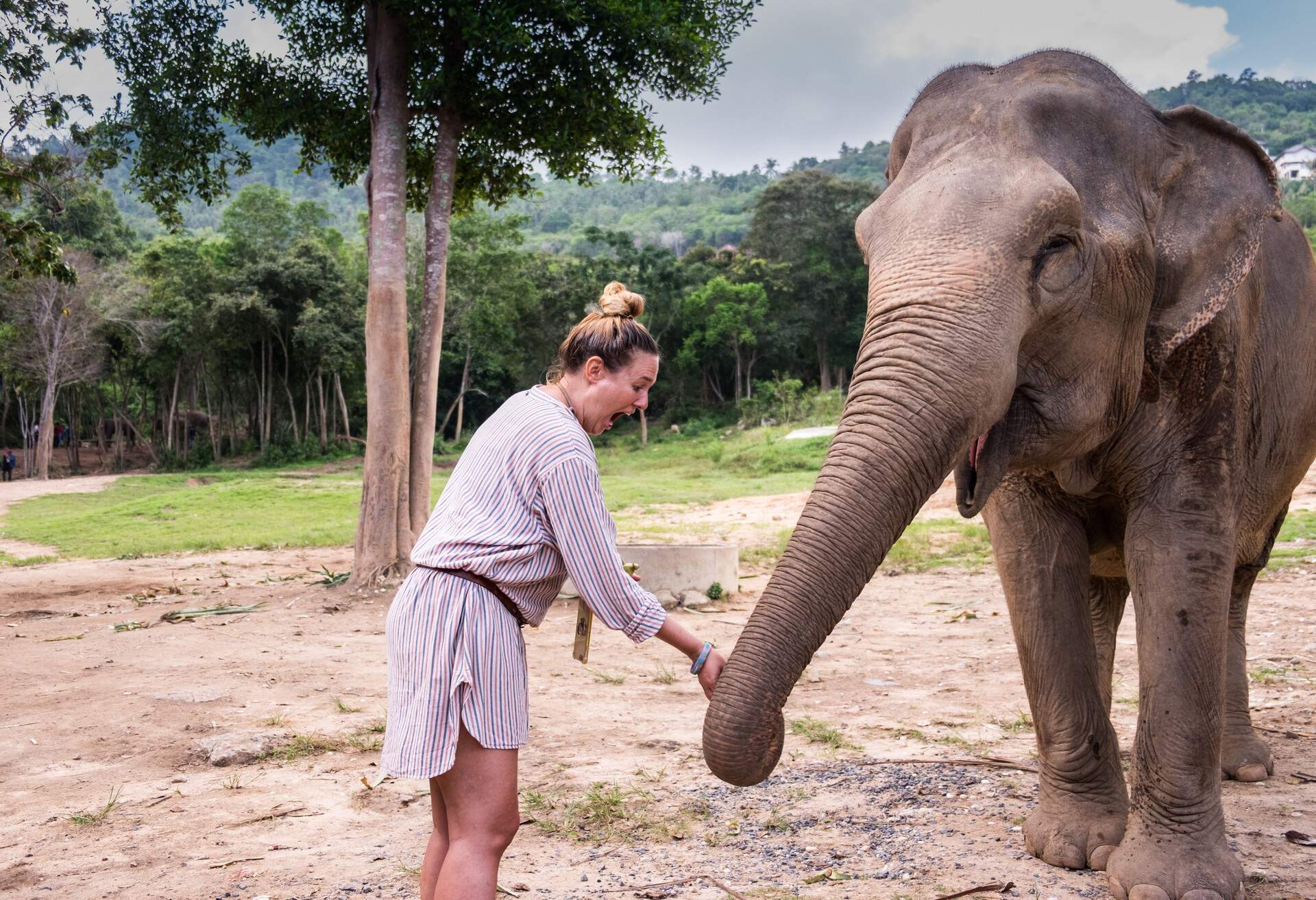 annika-ziehen-the-midnight-blue-elephant-thailand