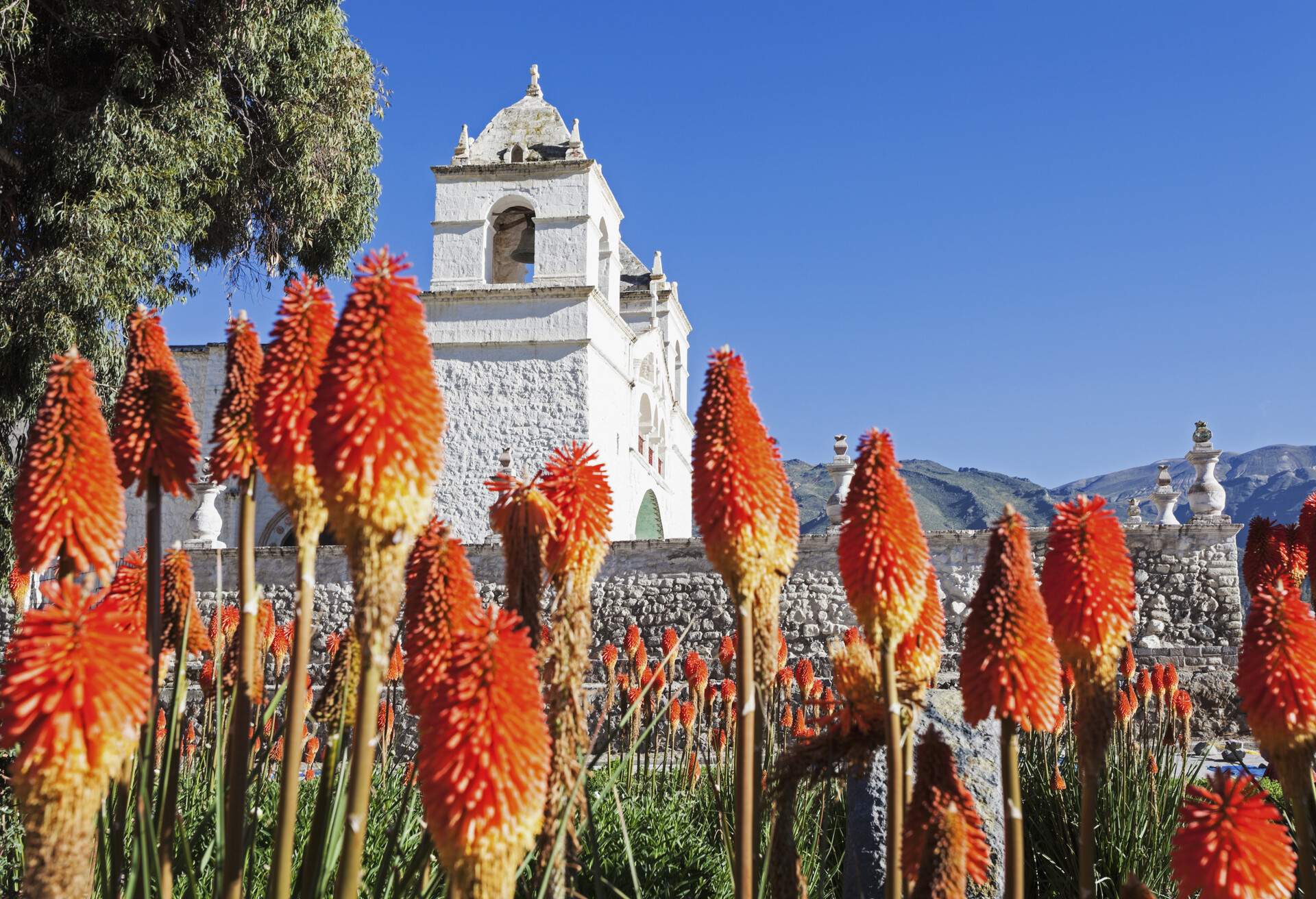 dest_peru_maca_colca_canyon_gettyimages-485224061_universal_within-usage-period_78699.jpg