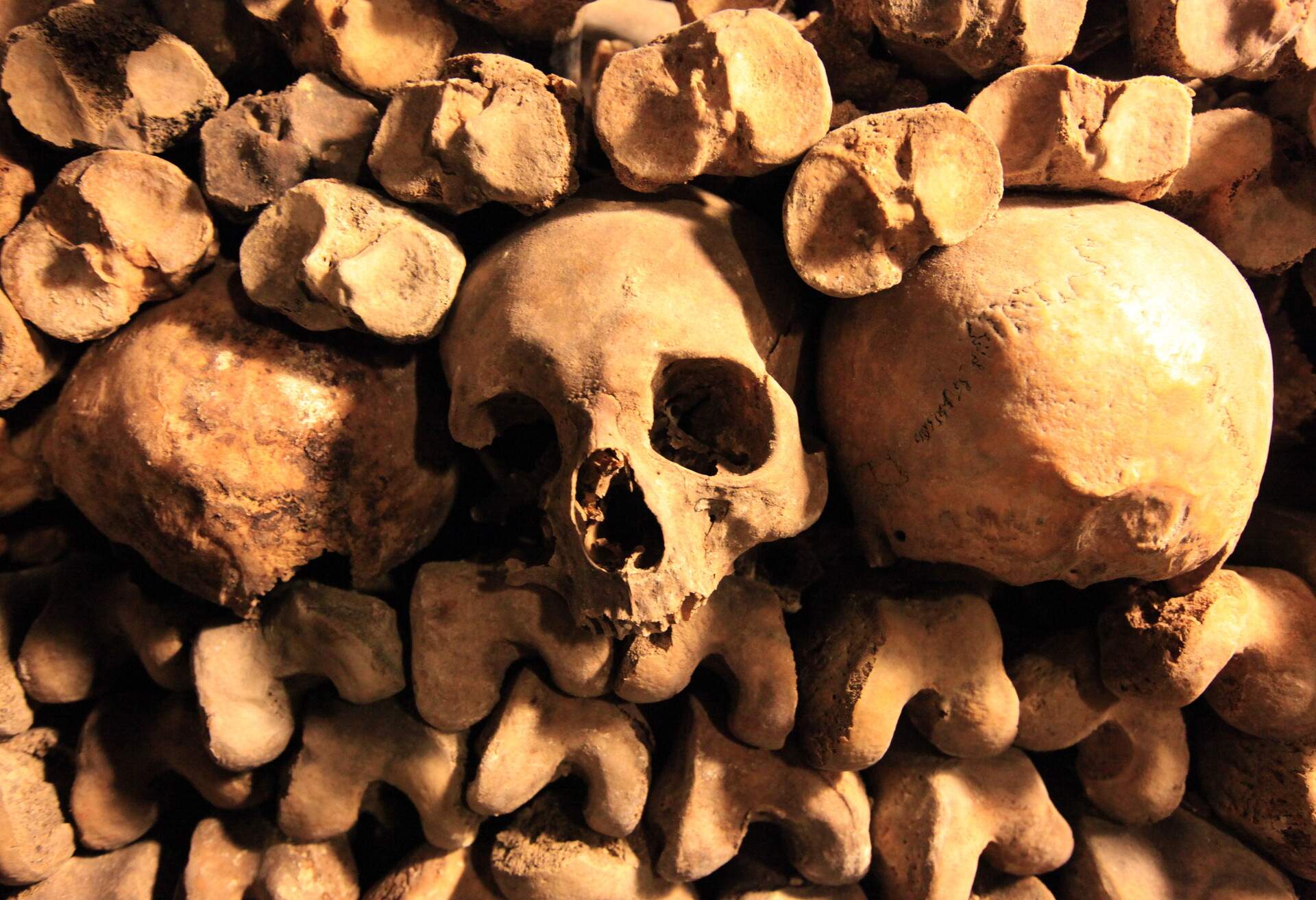 A closeup of a skull stacked together with a bunch of bones in the catacombs in Paris 