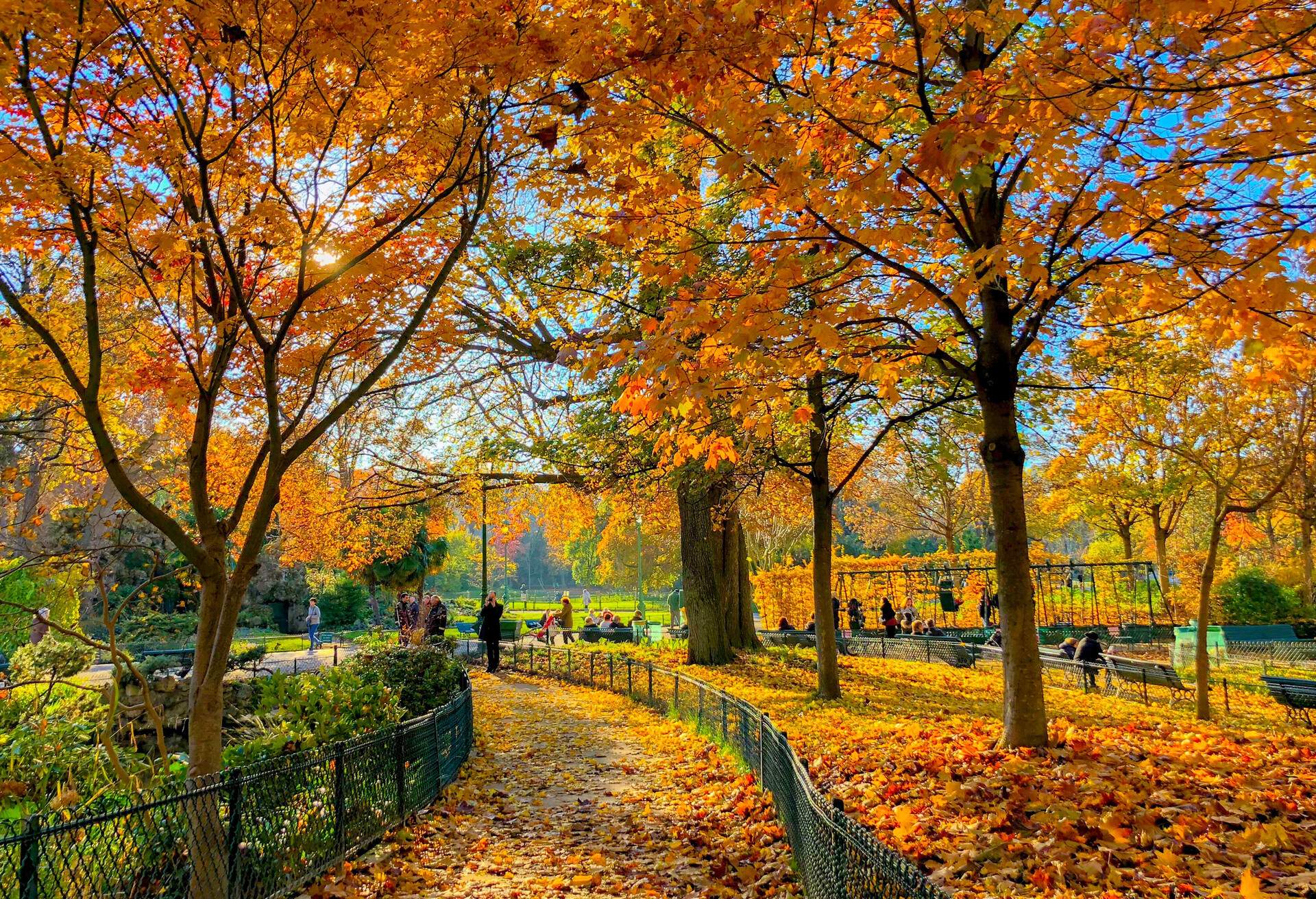 A beautiful sunny autumn day in a park in Paris with the ground is covered by yellow and brown leaves