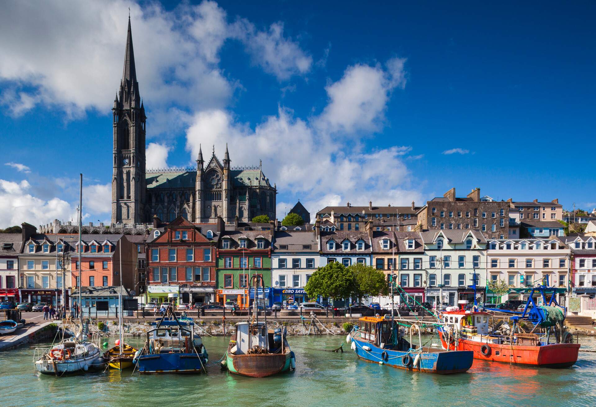 Ireland, County Cork, Cobh, St. Colman's Cathedral from Cobh Harbor