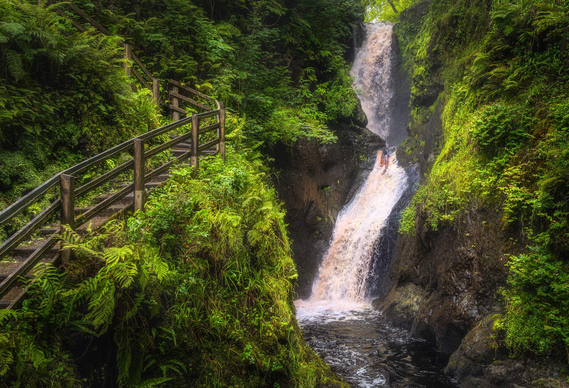 DEST_IRELAND_Glenariff-Forest-Park_GettyImages-1344451387