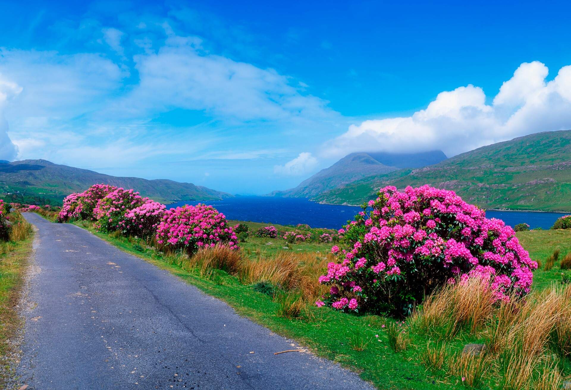 DEST_IRELAND_KILLARY_HARBOUR_GettyImages