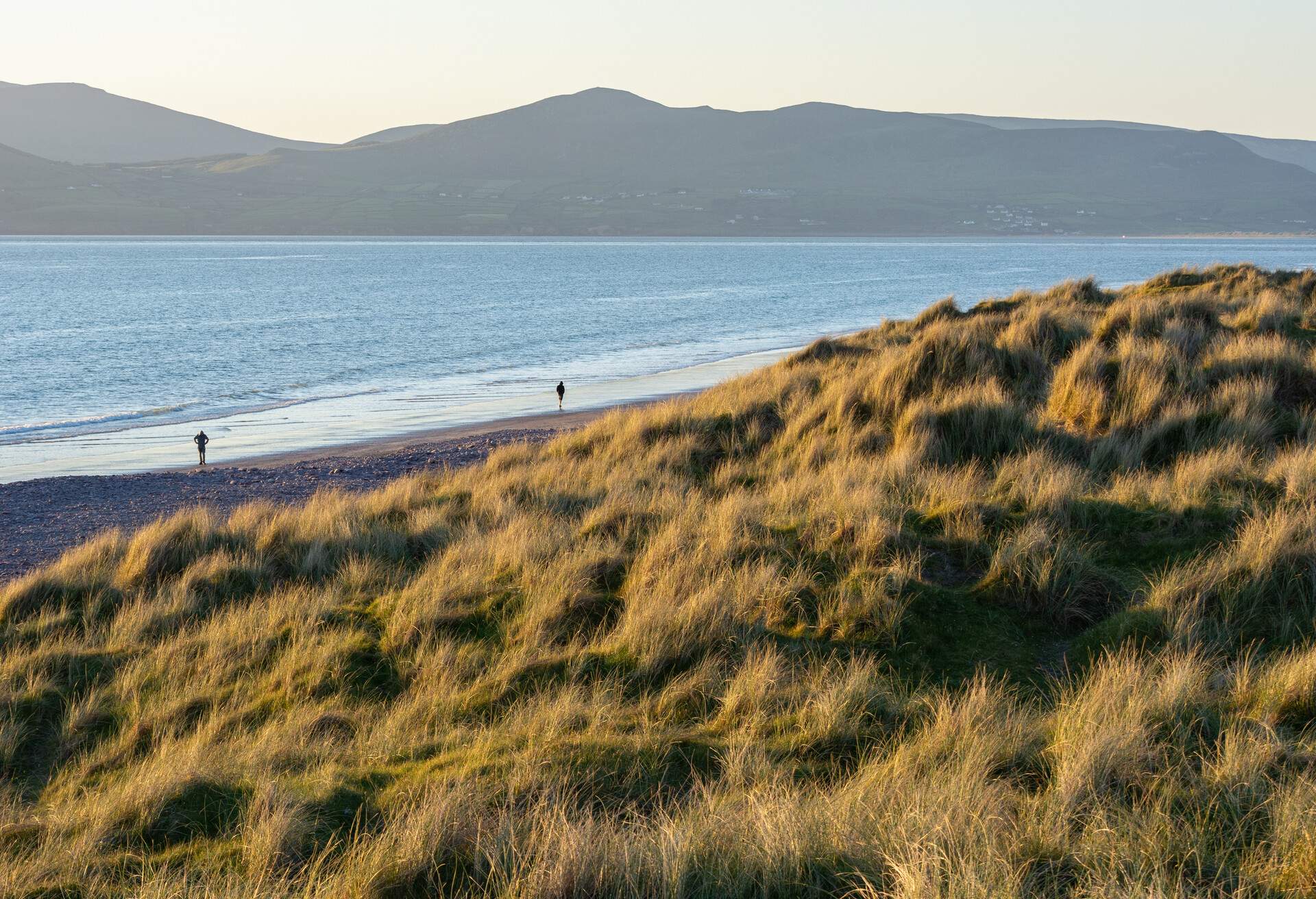 Sunset in the dunes at Rossbeigh beach in Ireland. Beautiful sunset in the dunes.