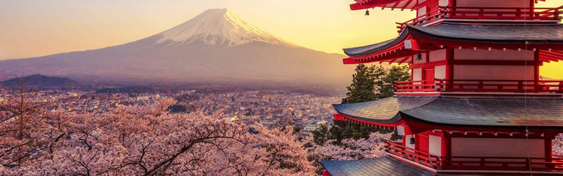 Top 9 incredible destinations for family holidays in Japan KAYAK