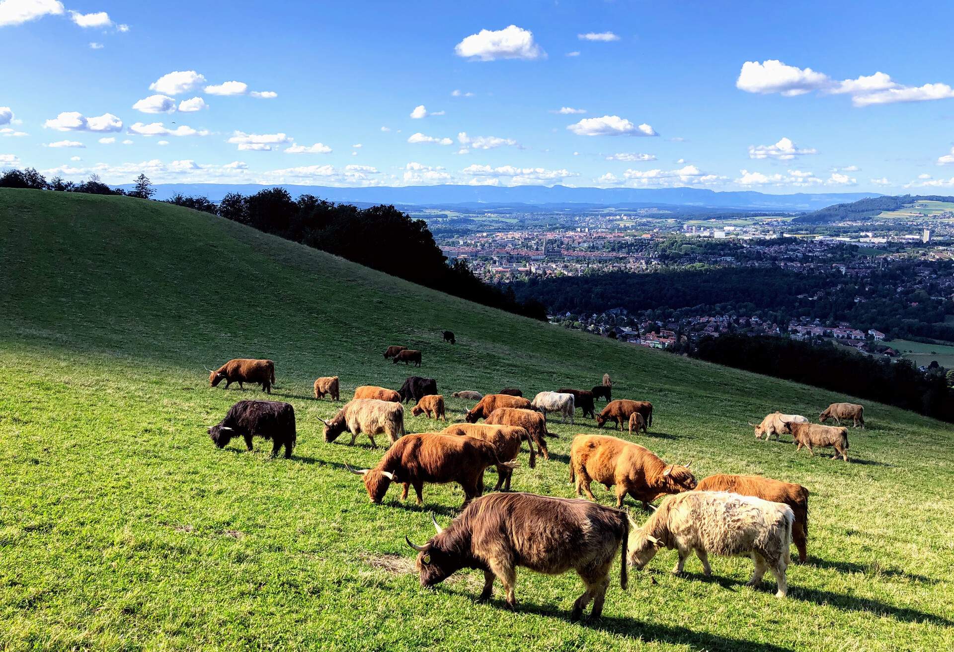 DEST_SWITZERLAND_BERN_GURTEN_GettyImages-1343473472