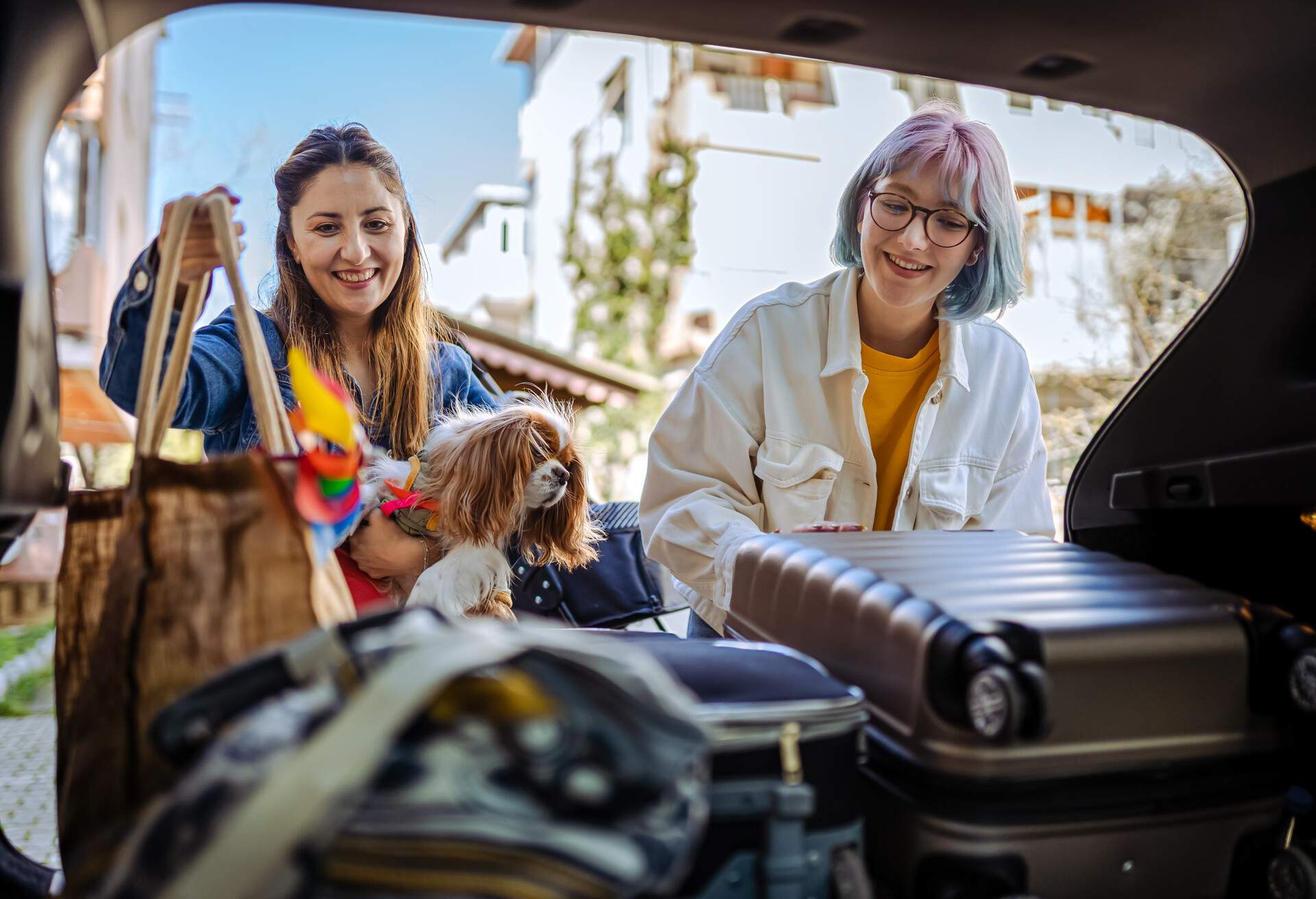 DEST_TURKEY_THEME_CAR_ROADTRIP_FAMILY_PETS_DOG_GettyImages-1390718085