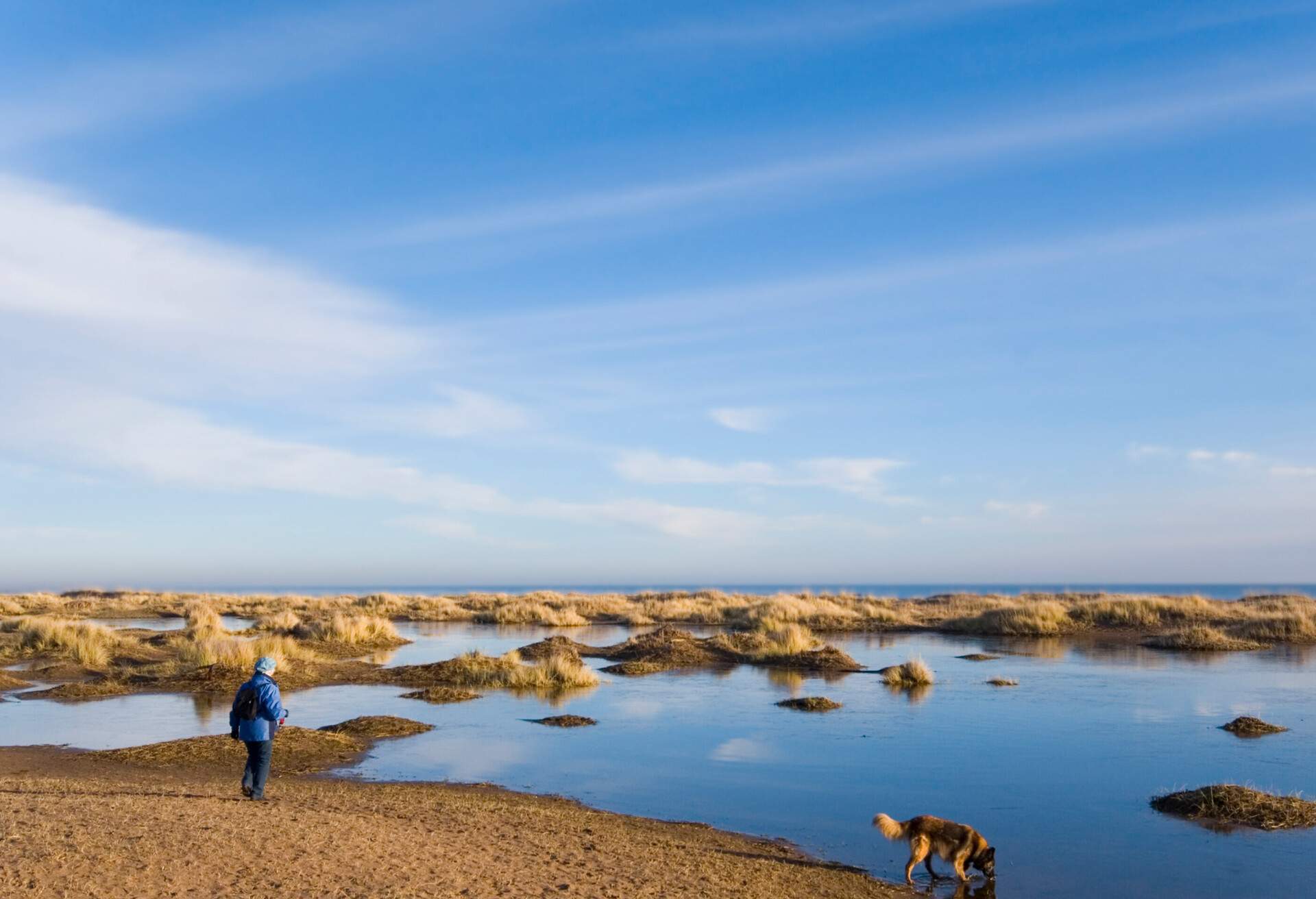 DEST_UK_TENTSMUIR-SANDS_BEACH-GettyImages-172763926