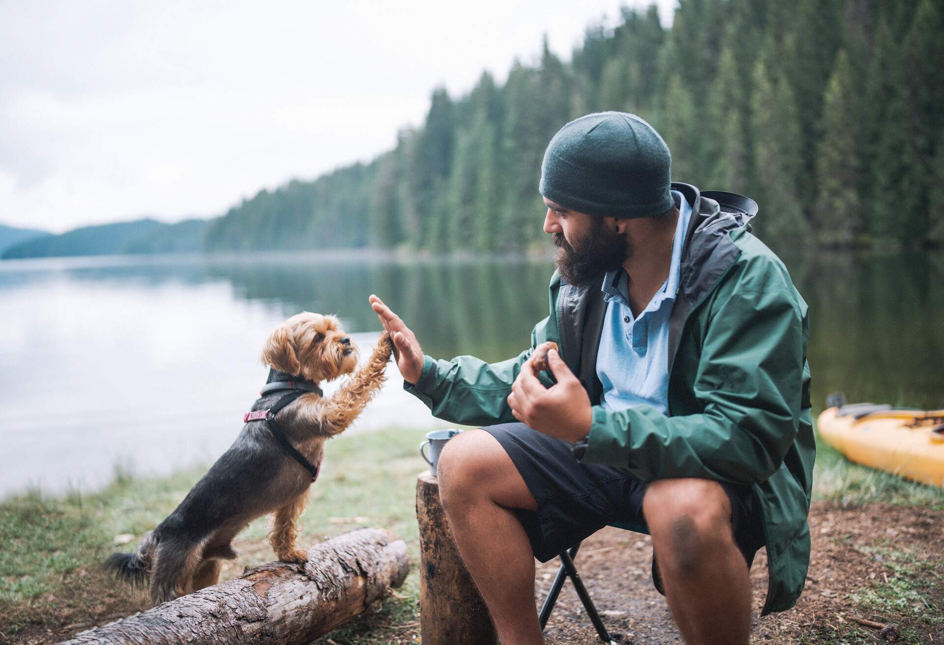 THEME_CAMPING_DOG_HIGH-FIVE_GettyImages-1328411209