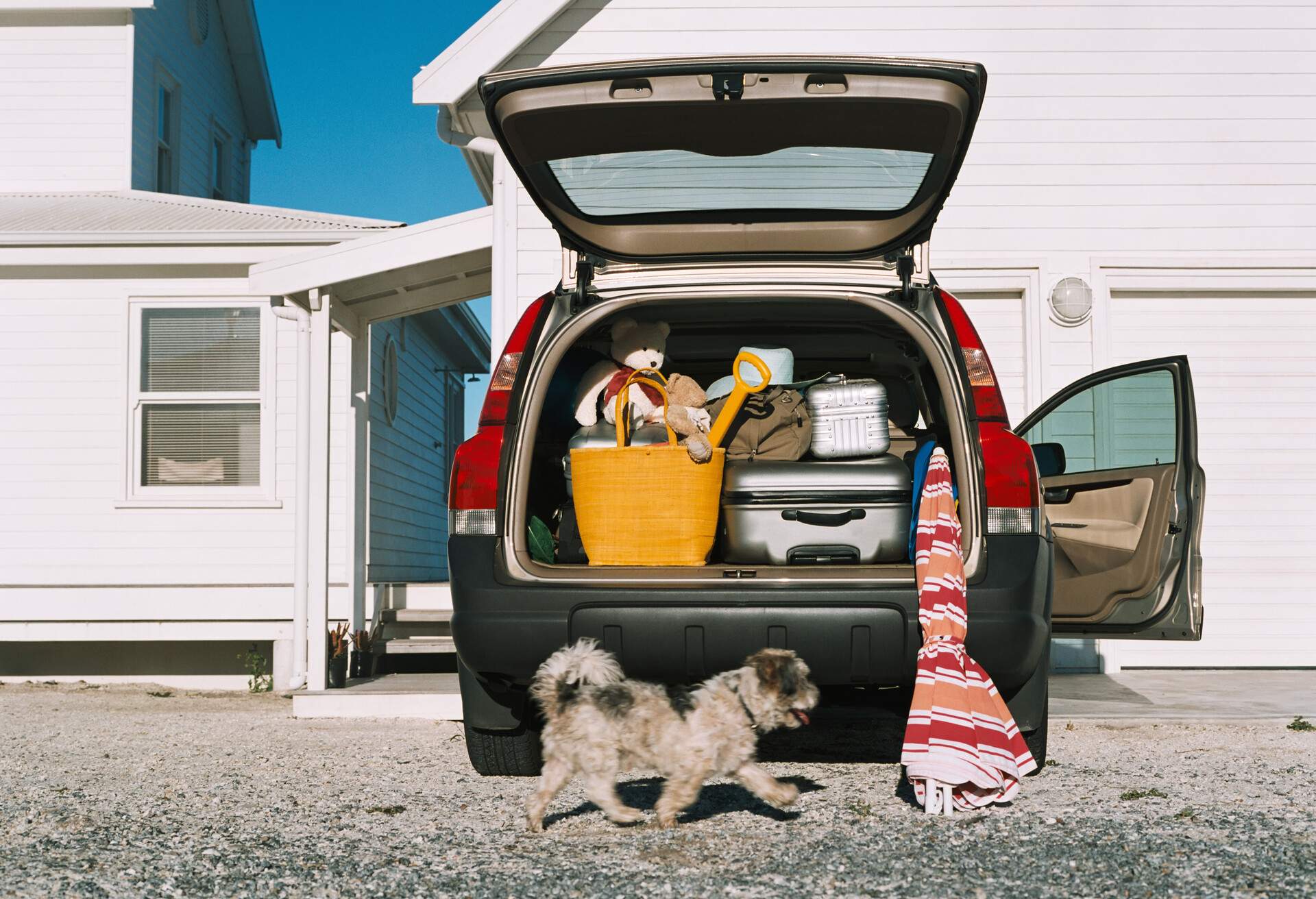 THEME_LUGGAGE_CAR_DOG_GettyImages-56181232