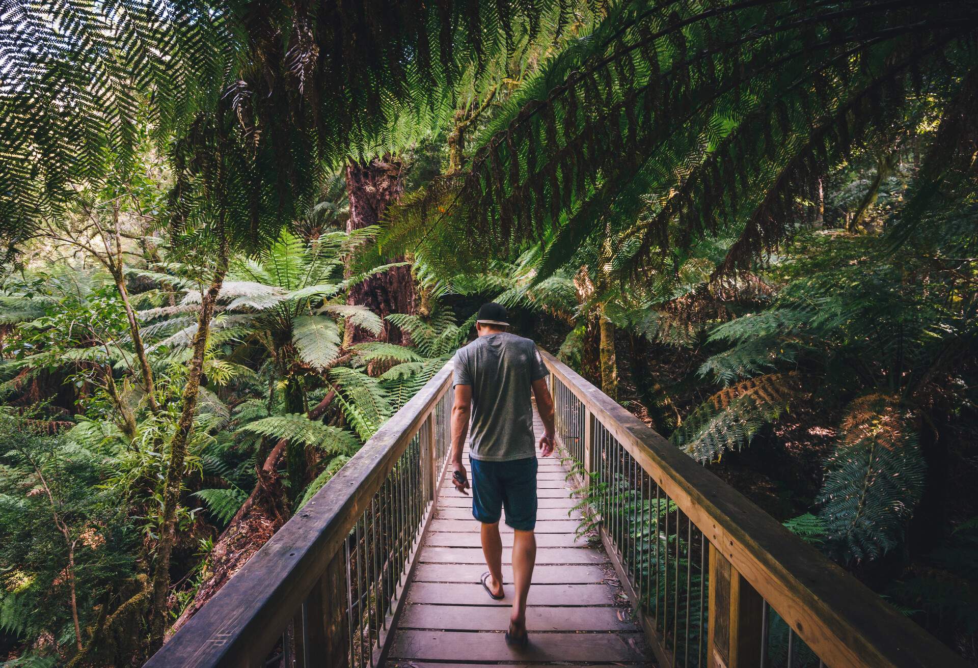 dest_australia_victoria_apollo_bay_forest_man_great_otway_national_park_gettyimages