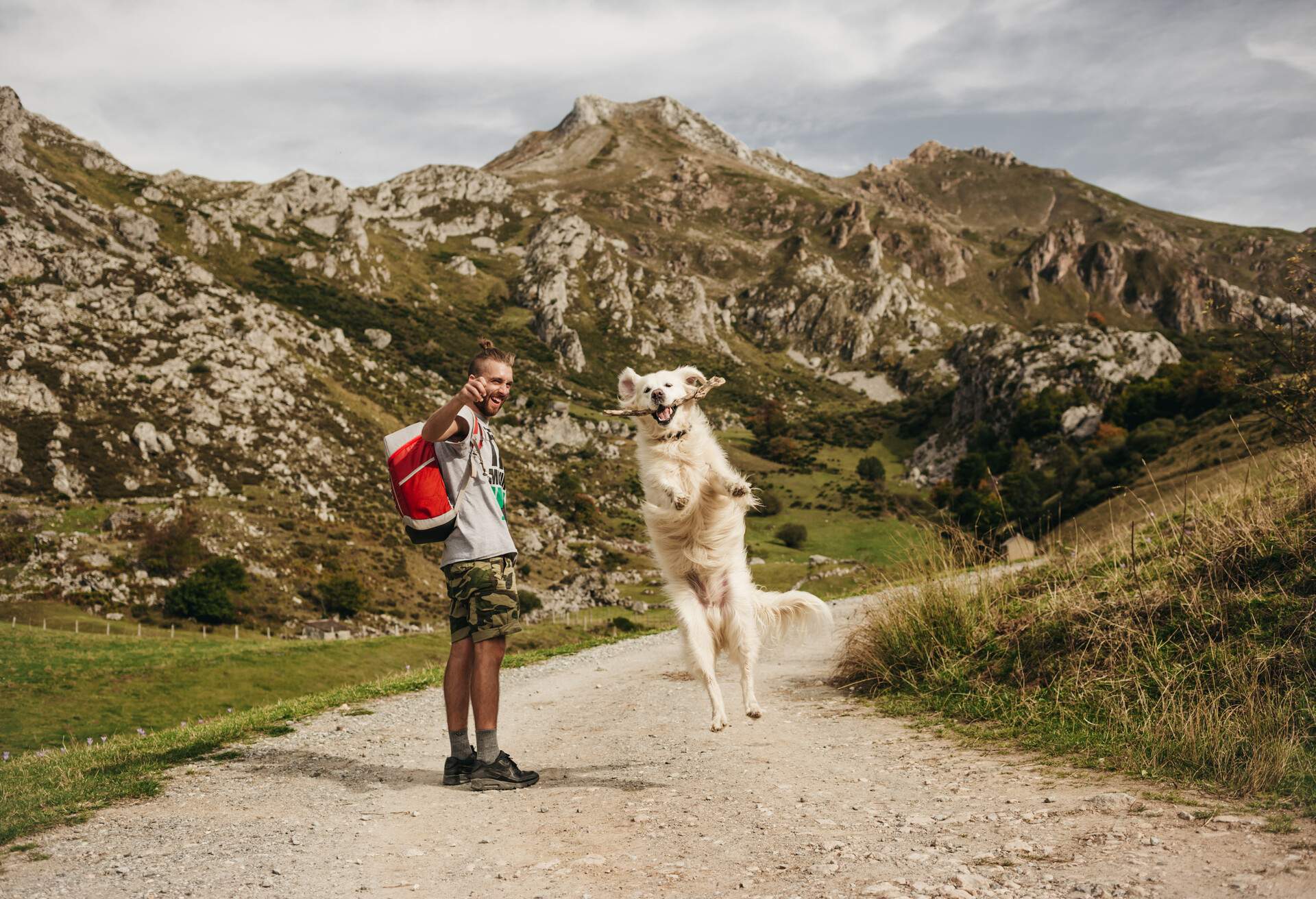 Hiking with dogs tips on sale