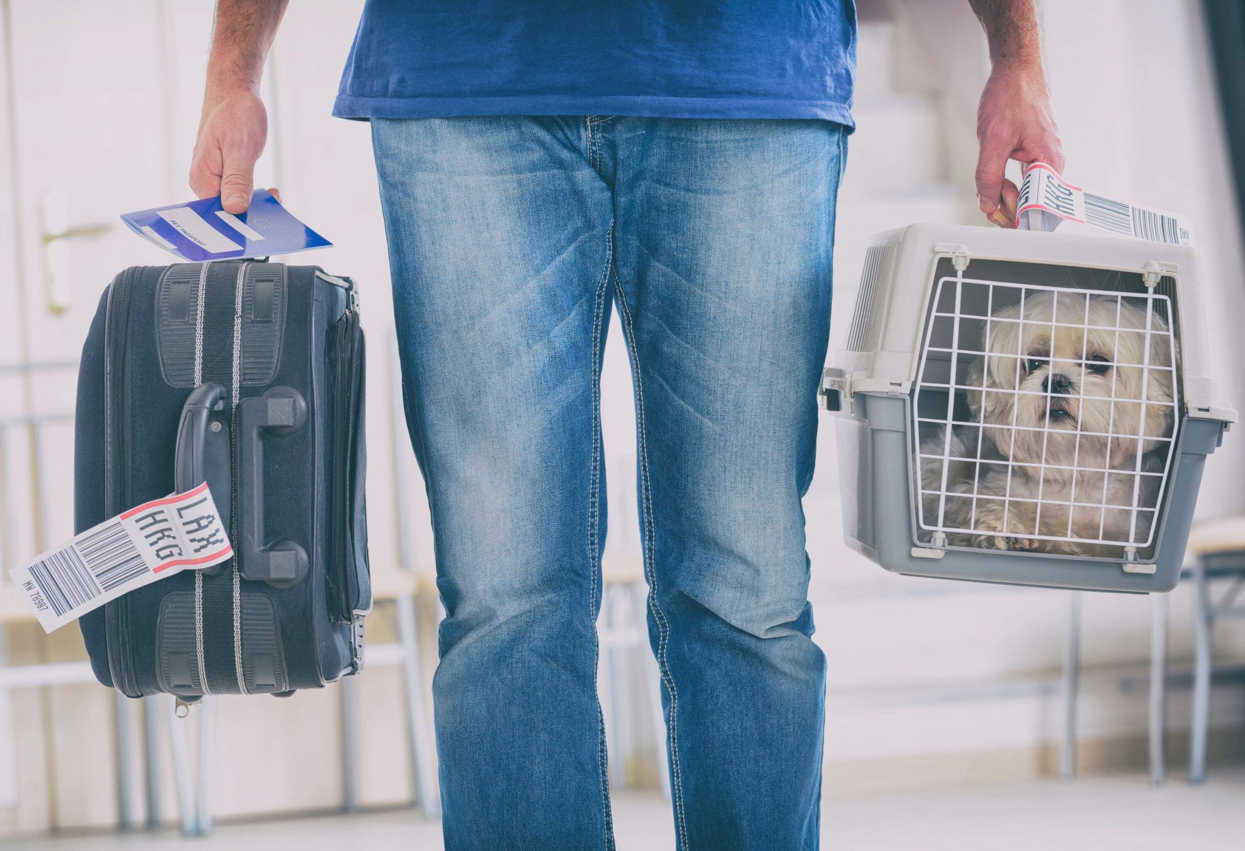 A man carrying a suitcase in one hand and a pet carrier containing a white dog in the other.