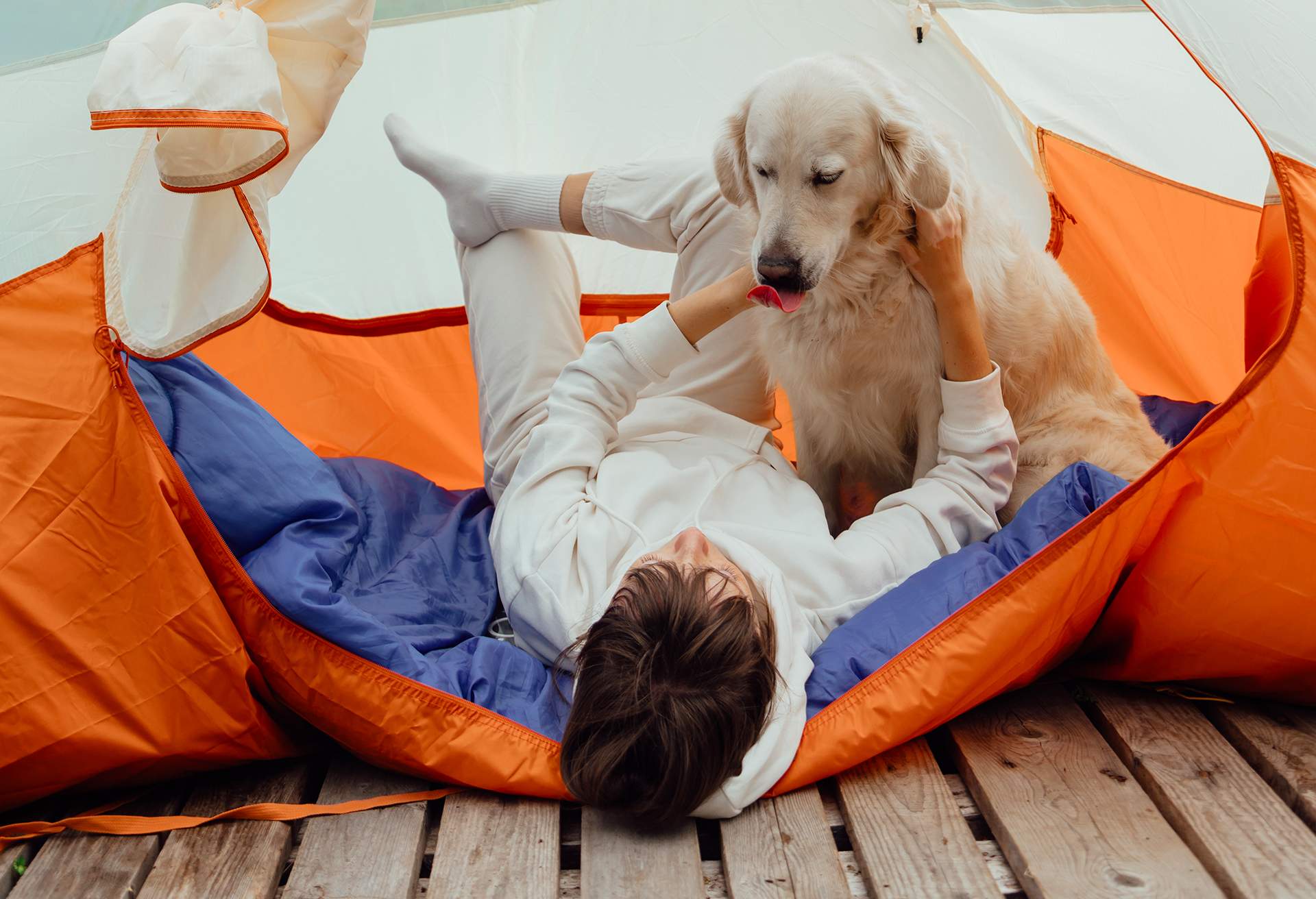 camping-with-dog