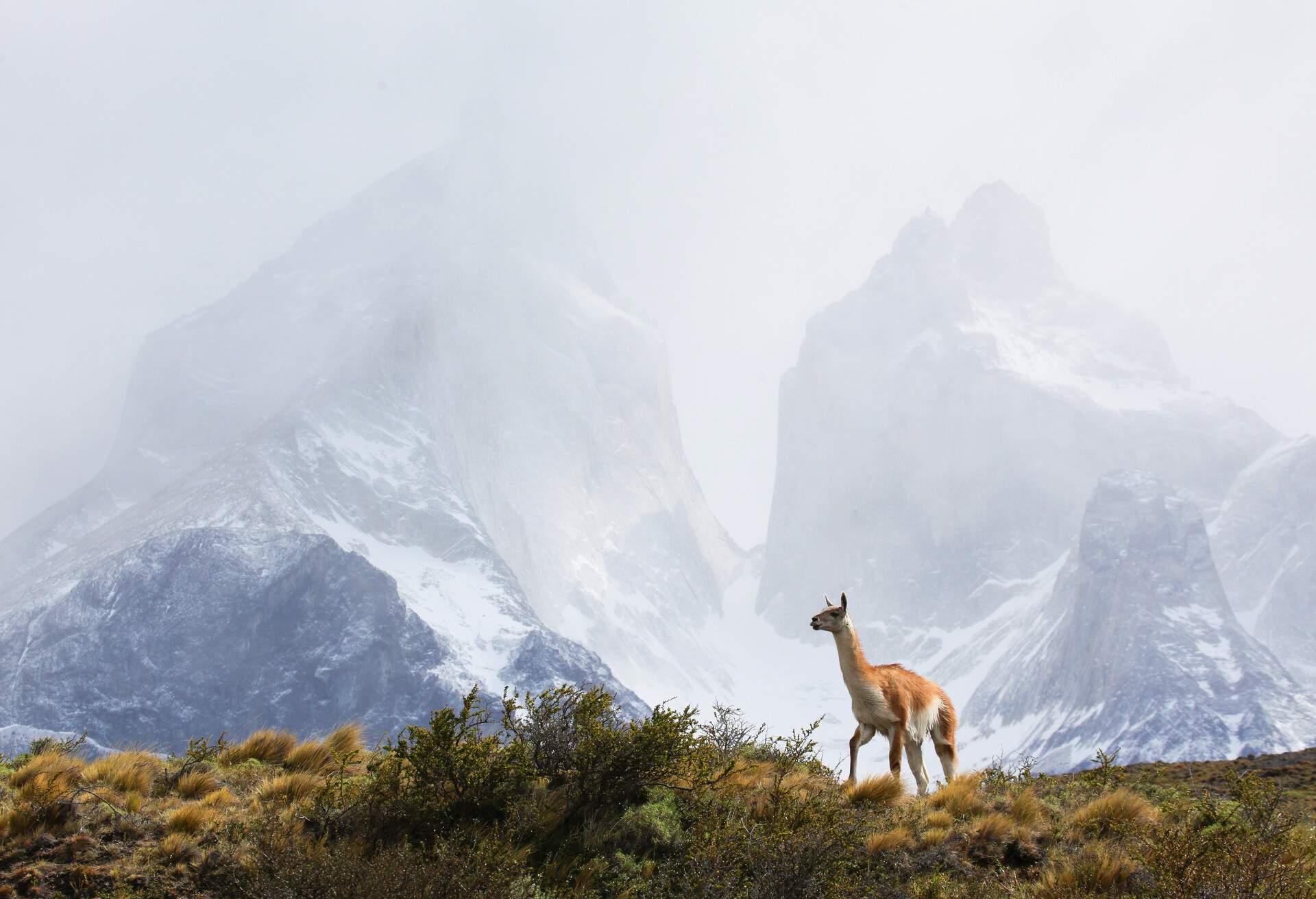 DEST_CHILE_PATAGONIA_TORRES-DEL-PAINE-NATIONAL-PARK_GettyImages-478007257
