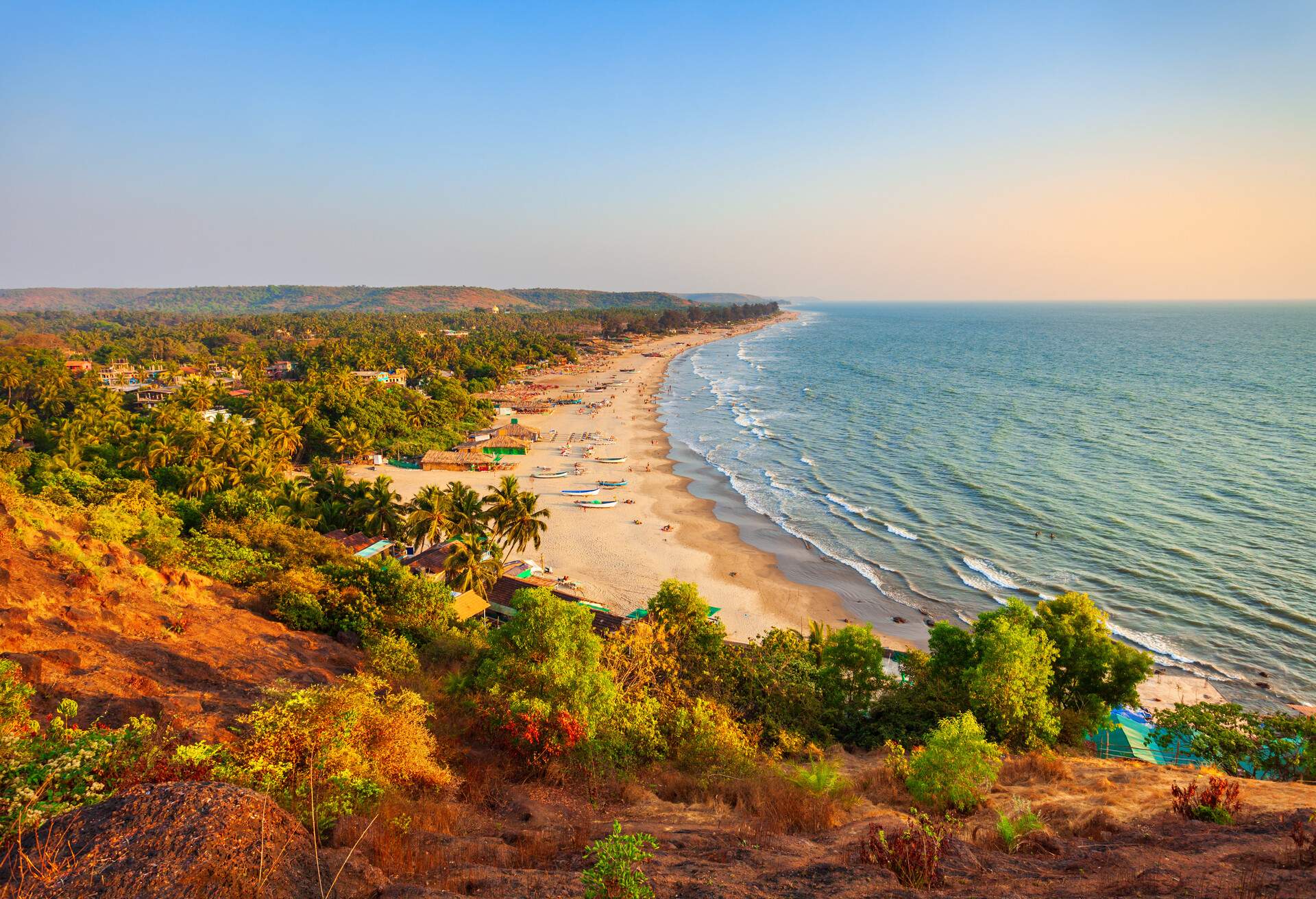 Beauty yellow sand Arambol beach aerial panoramic view. Arambol is a village in north Goa, south India.