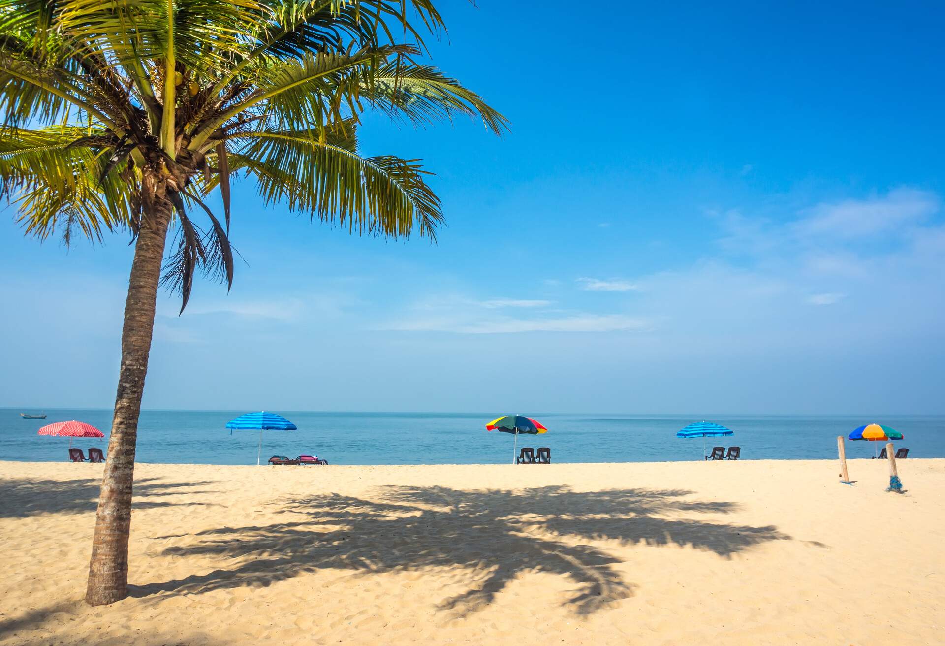 beautiful landscape with palm tree, white sand and sun loungers on the background of sea and blue sky. Kerala, India. Vacation in exotic country.