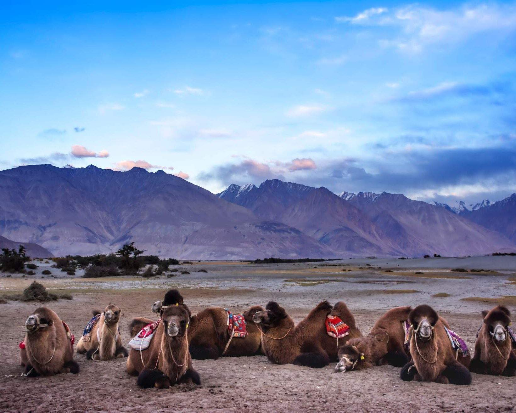 Find out when the best time to visit India is for your trip | KAYAK
