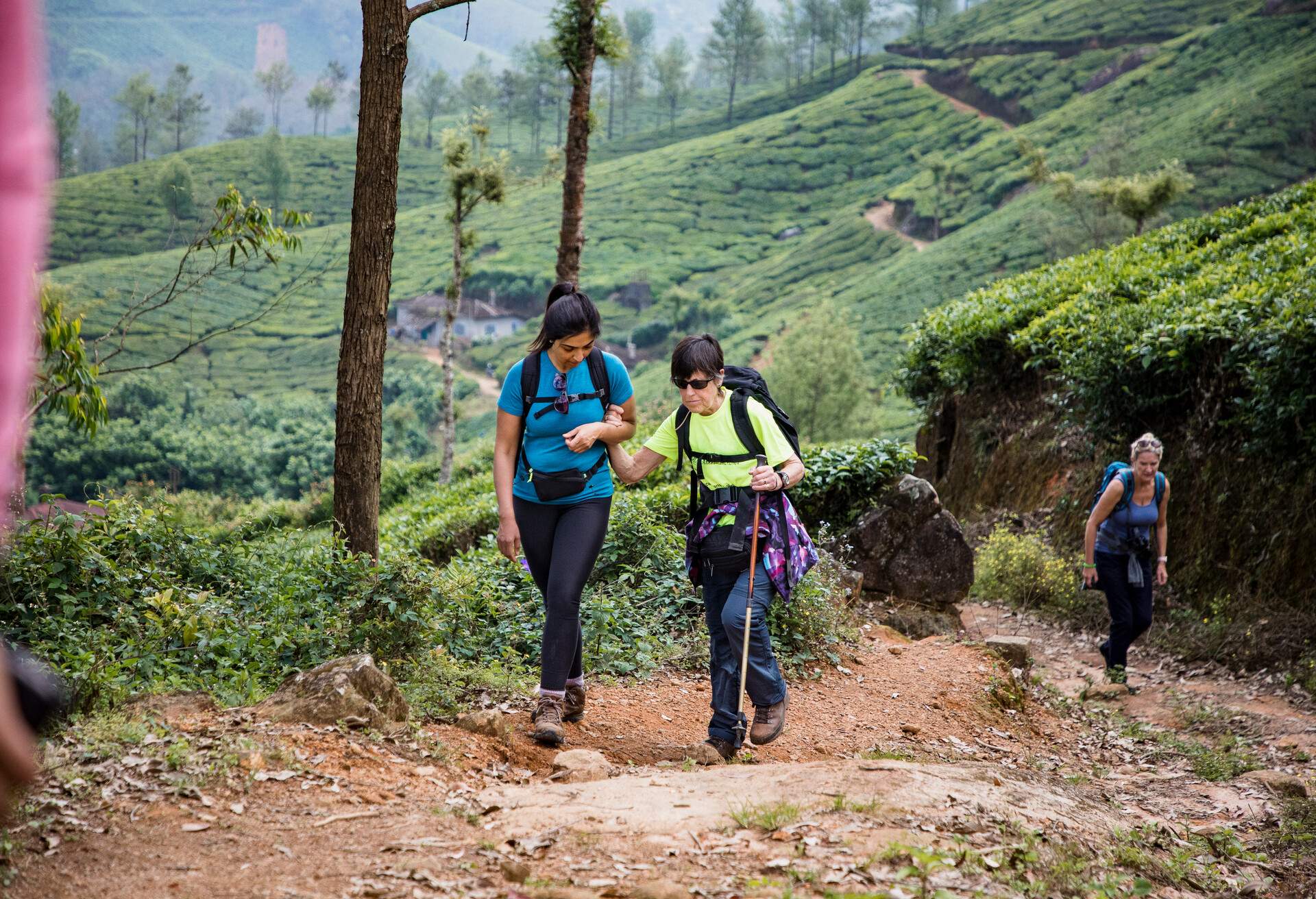 INDIA_MUNNAR_THEME_TRAVEL_HIKING_BLIND_DISABILITY_OUTDOORS