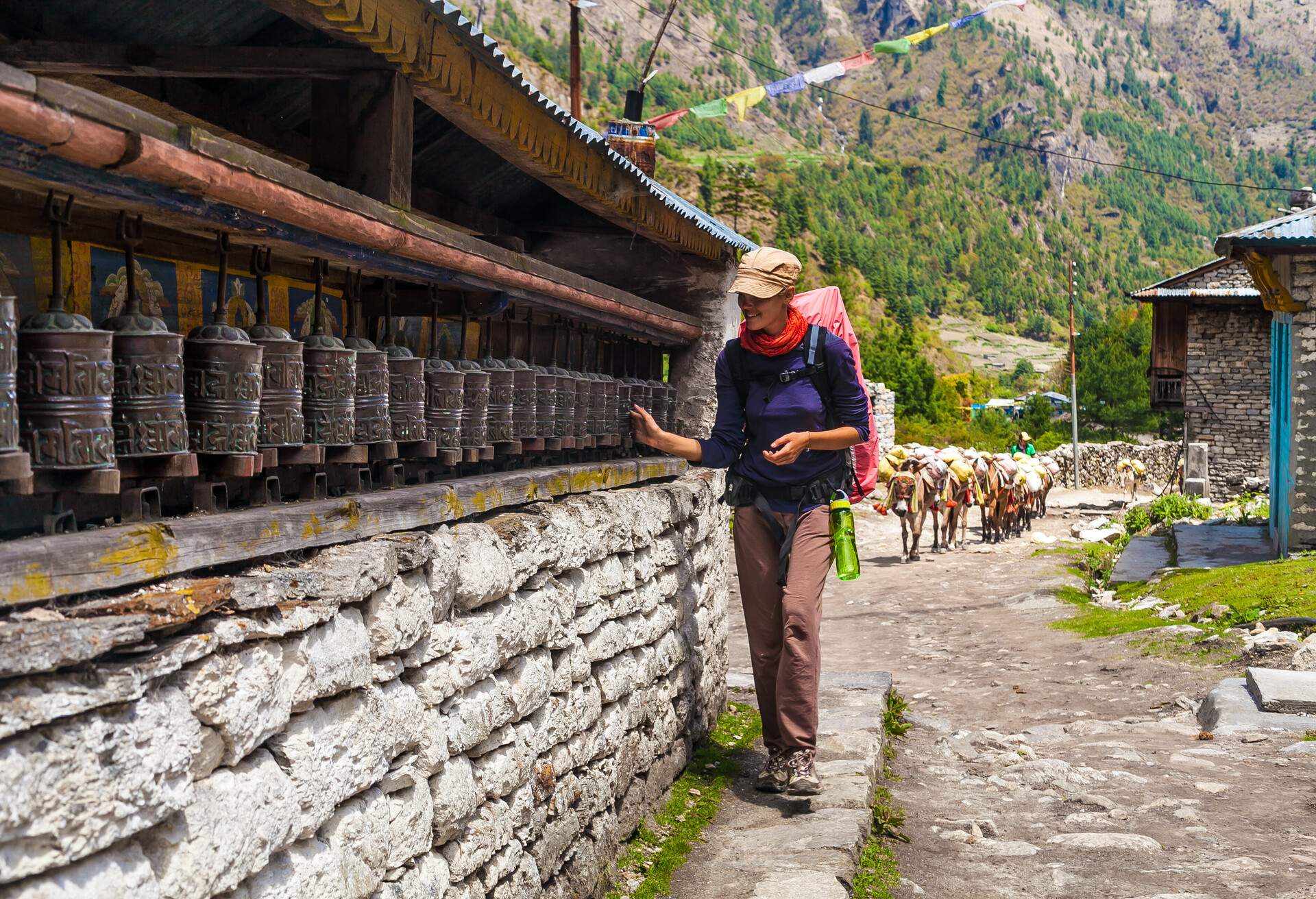 Young Woman Wearing Backpack Trekking Touching Tibetan prayer Wheels or Prayers Rolls Faithful Buddhists.Caravan Animal Donkeys Loaded Bags Background.Himalaya Village Mountains. Horizontal Photo; Shutterstock ID 478411030