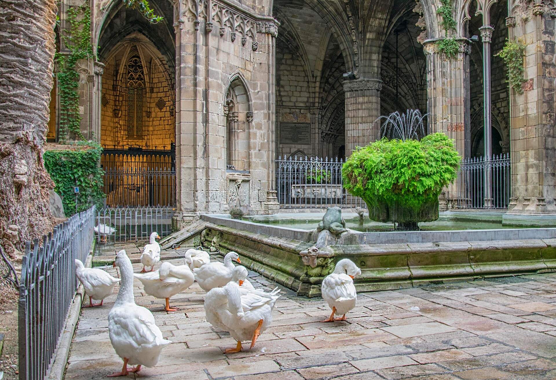 The Gothic cloister was constructed between the fourteenth and fifteenth century. Currently, it houses 13 white geese, as Eulalia was thirteen years old when she was martyred